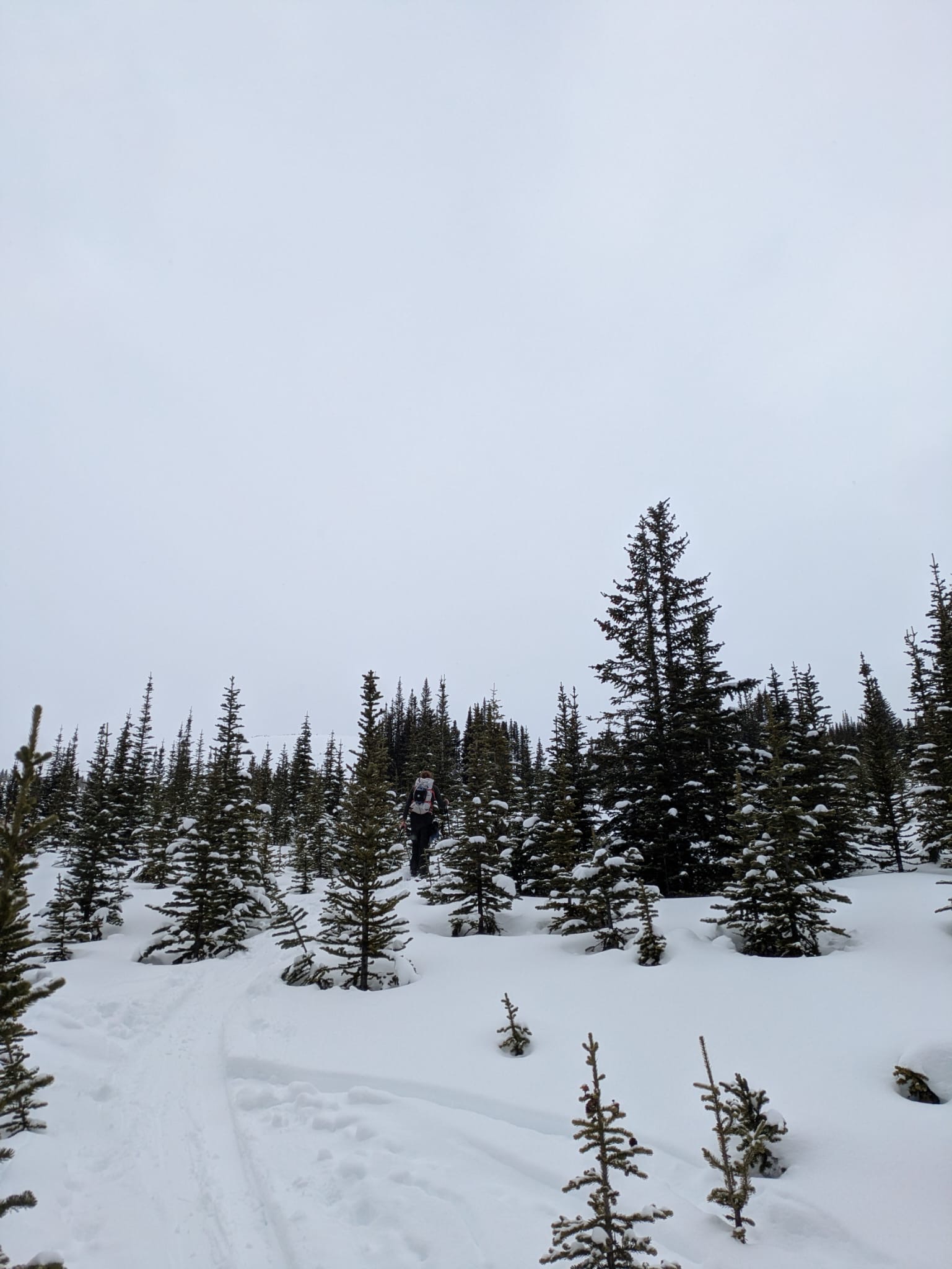 Observation photo