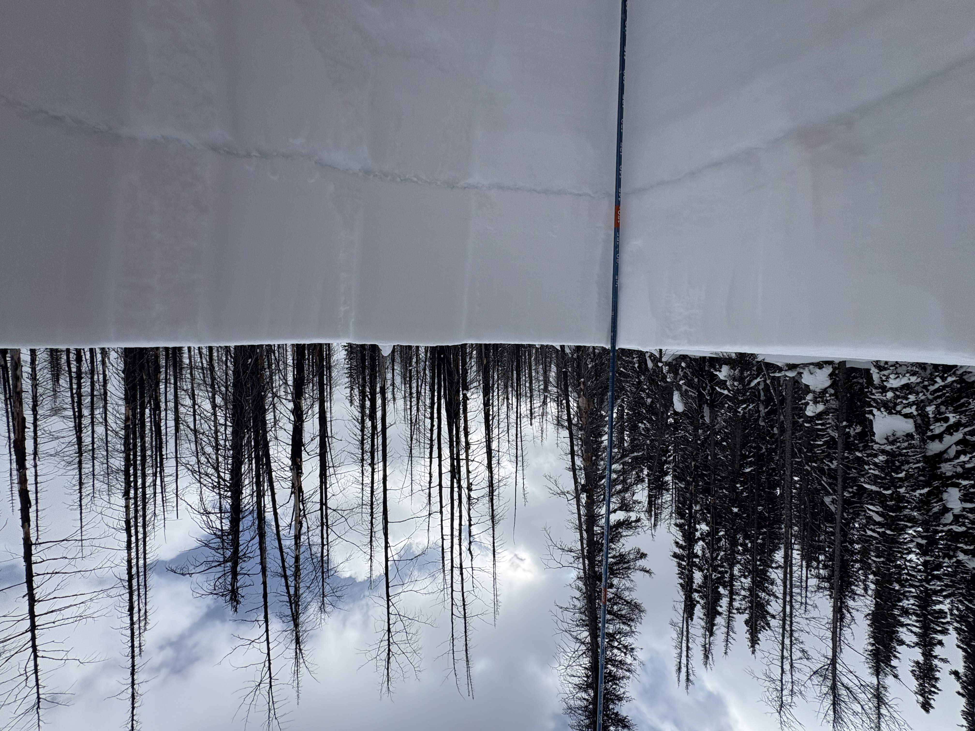 Observation photo
