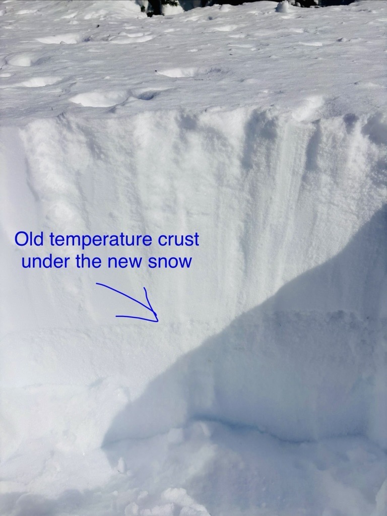 Observation photo