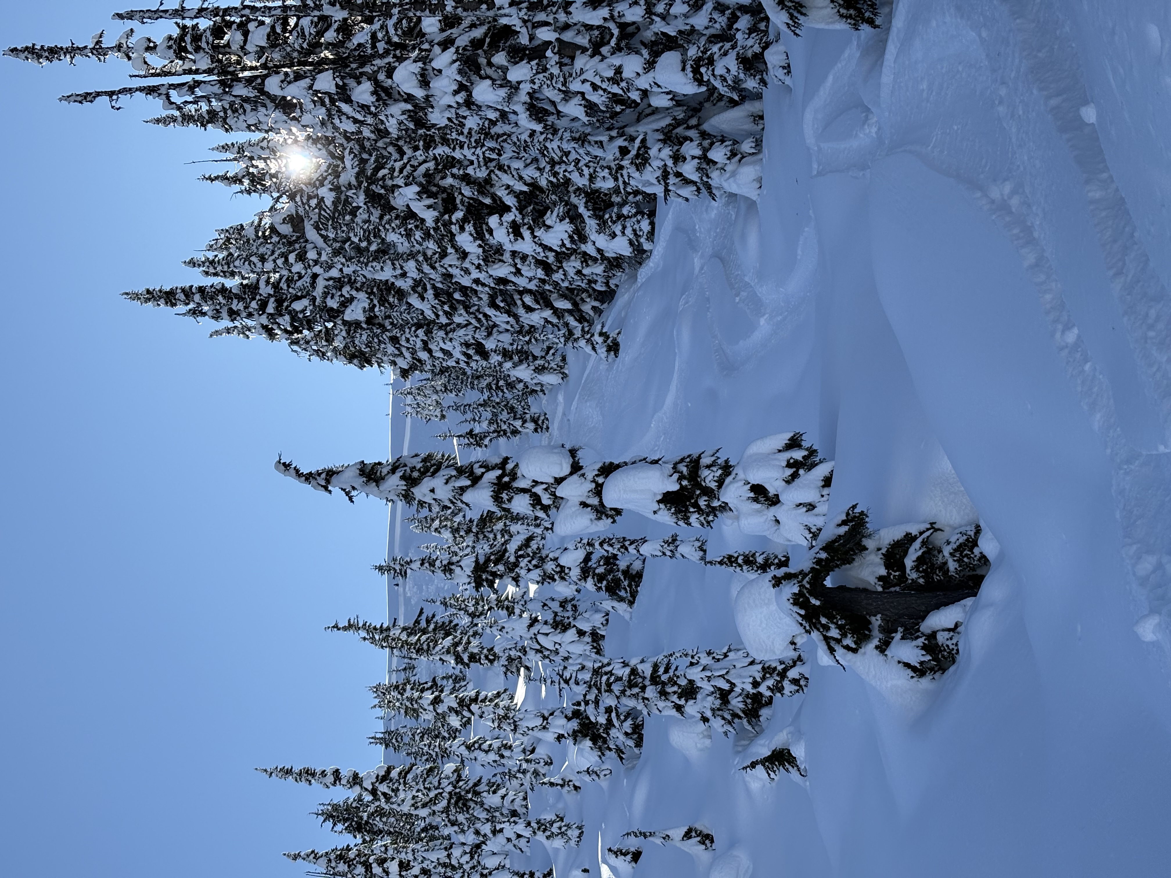 Observation photo