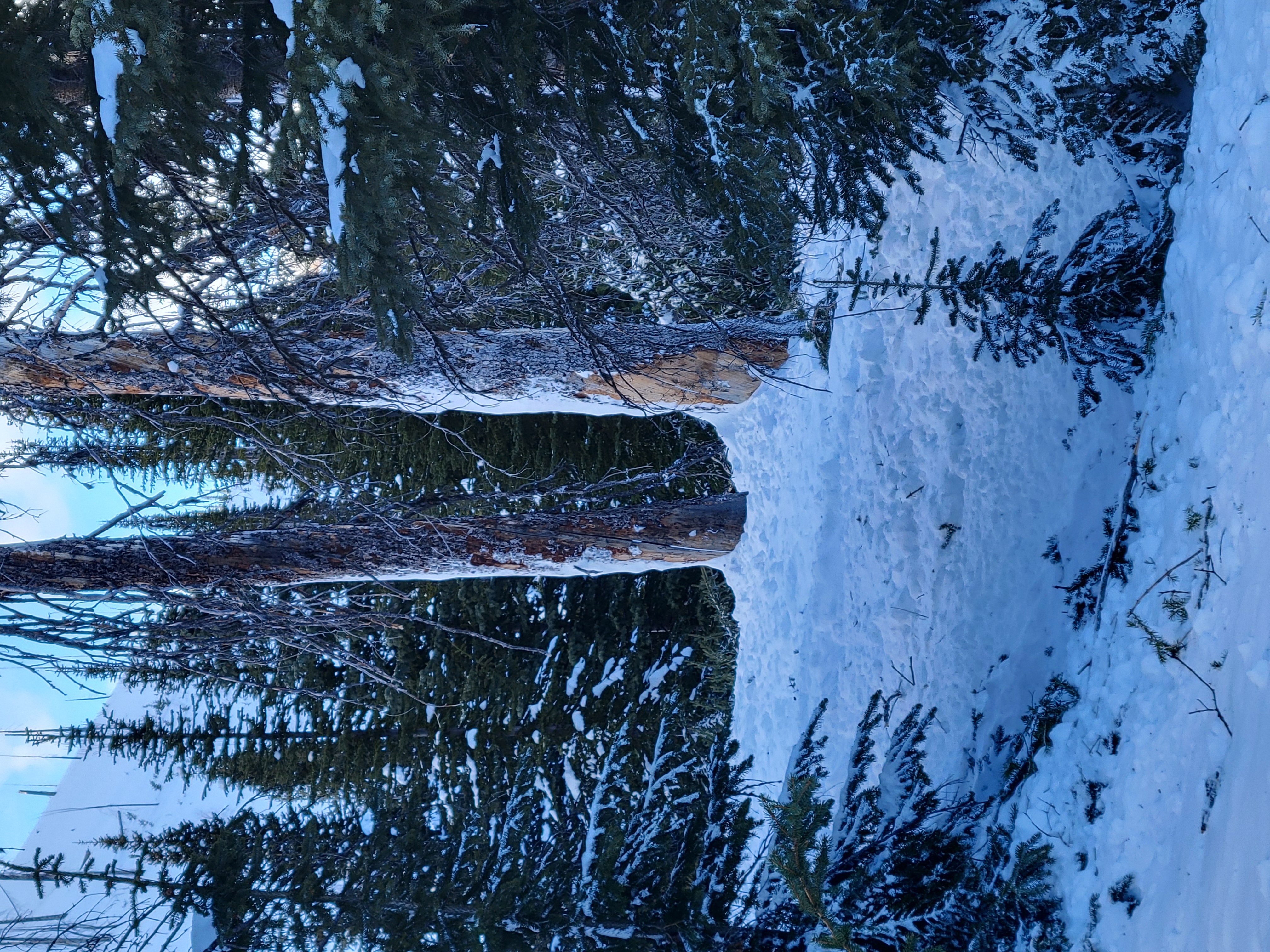 Observation photo