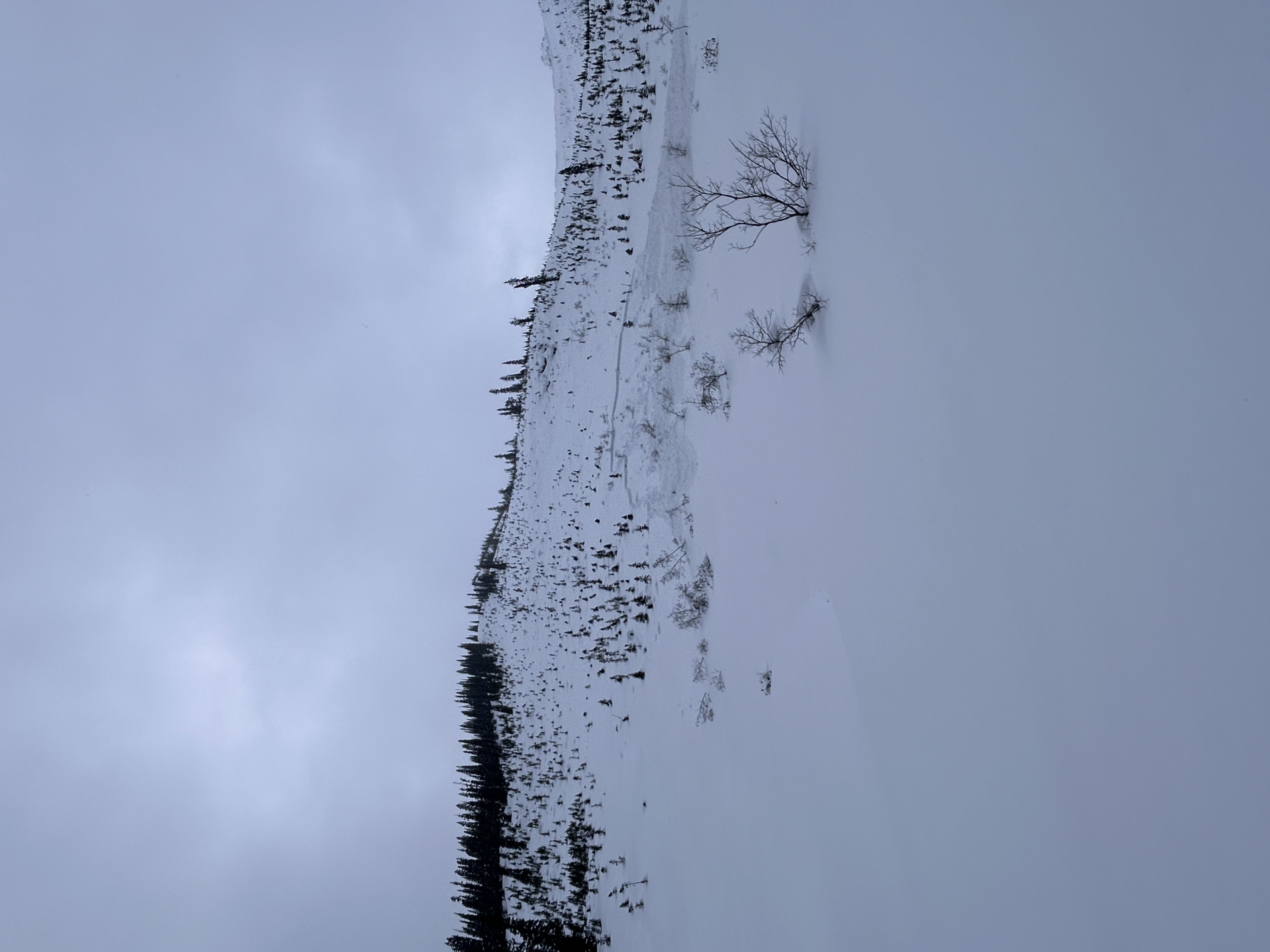 Observation photo