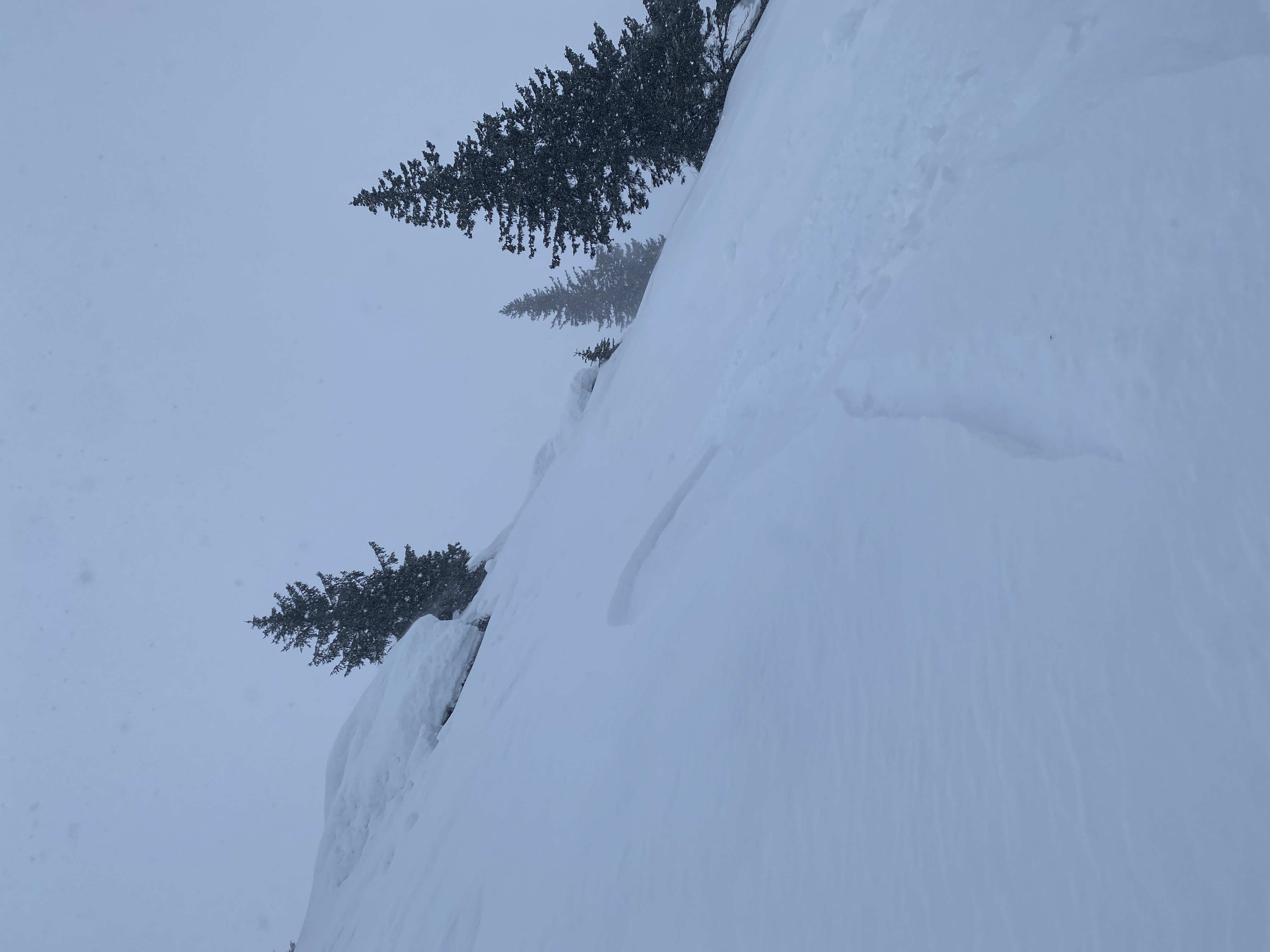 Observation photo