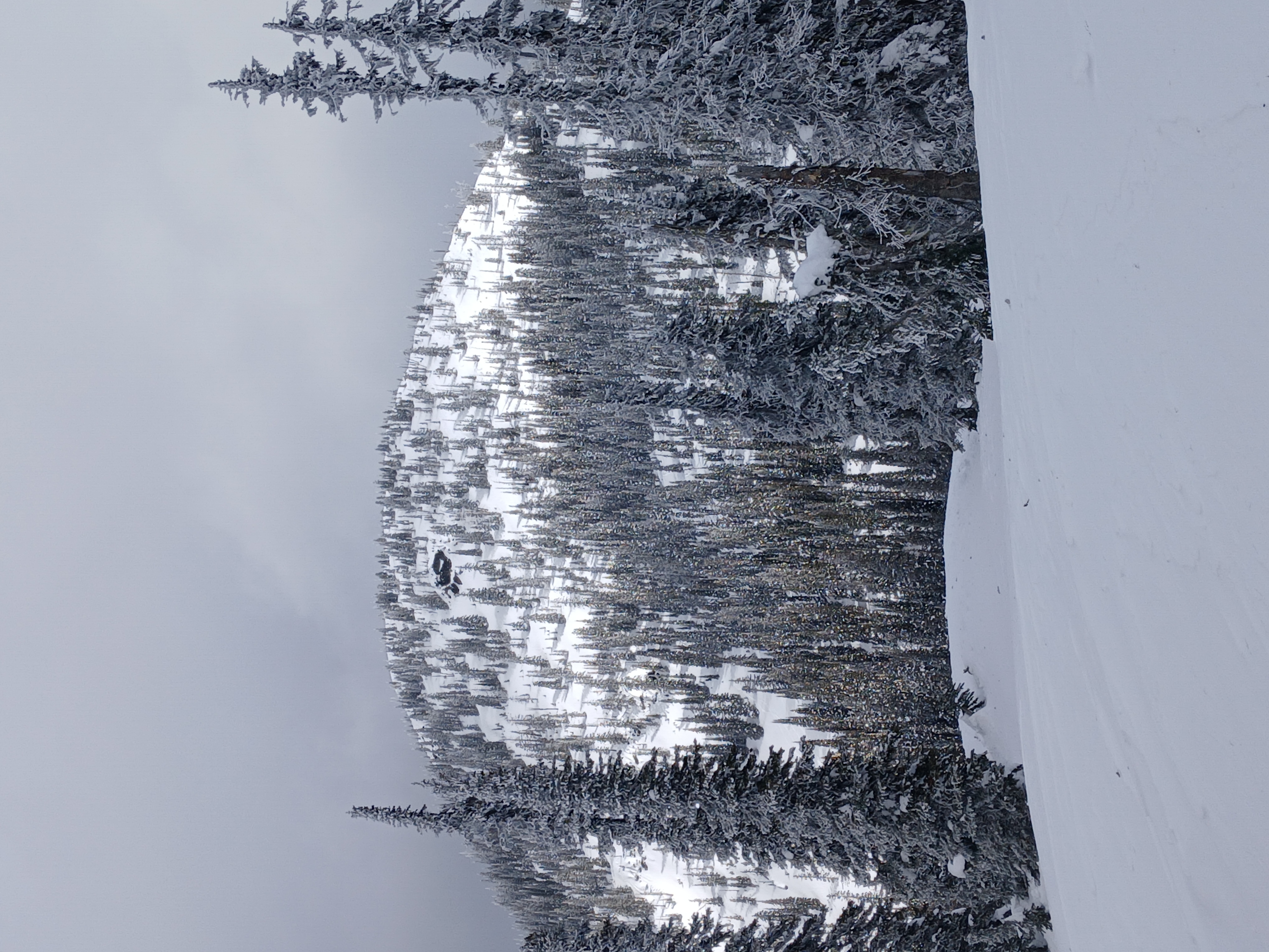 Observation photo