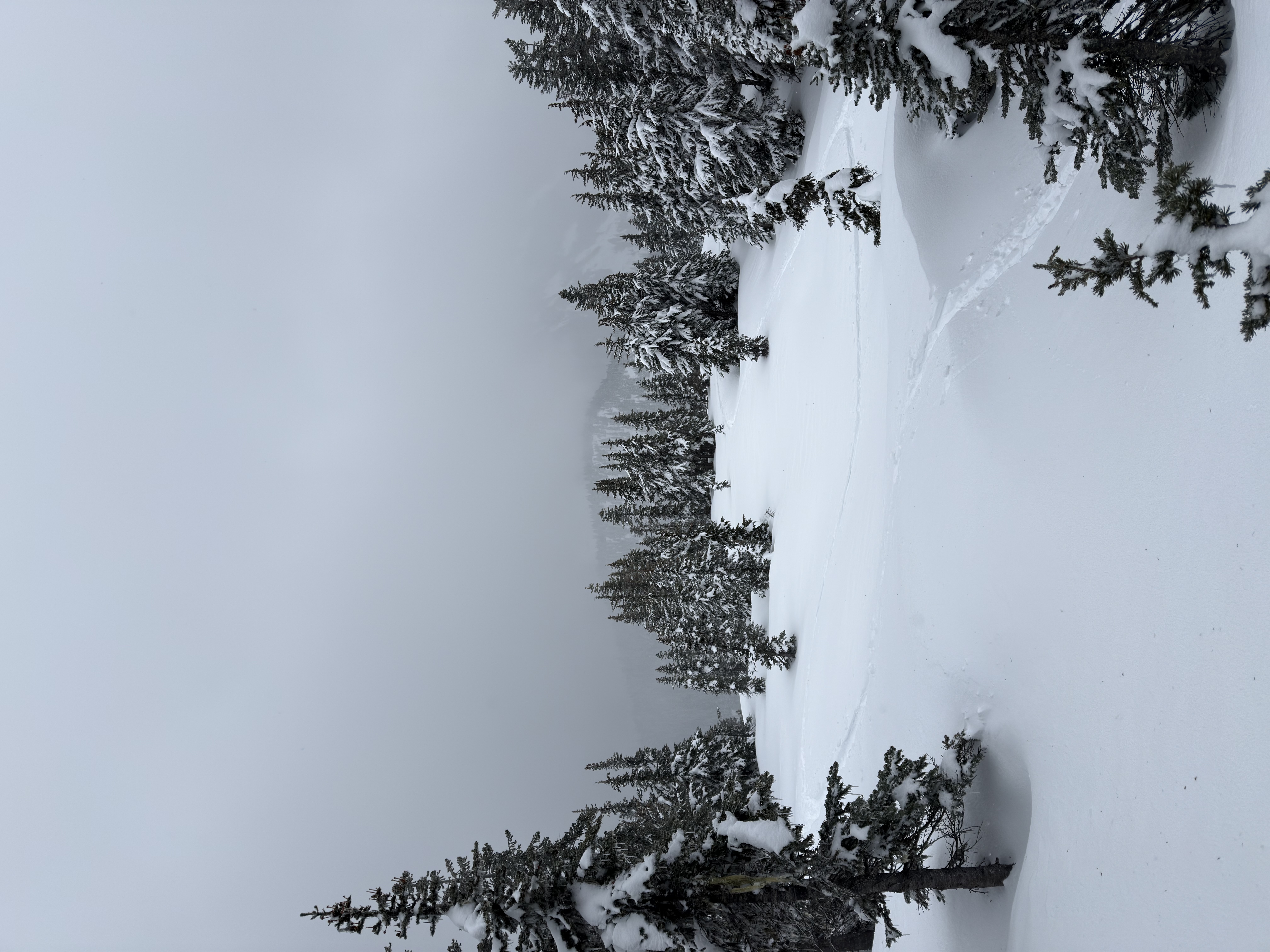 Observation photo