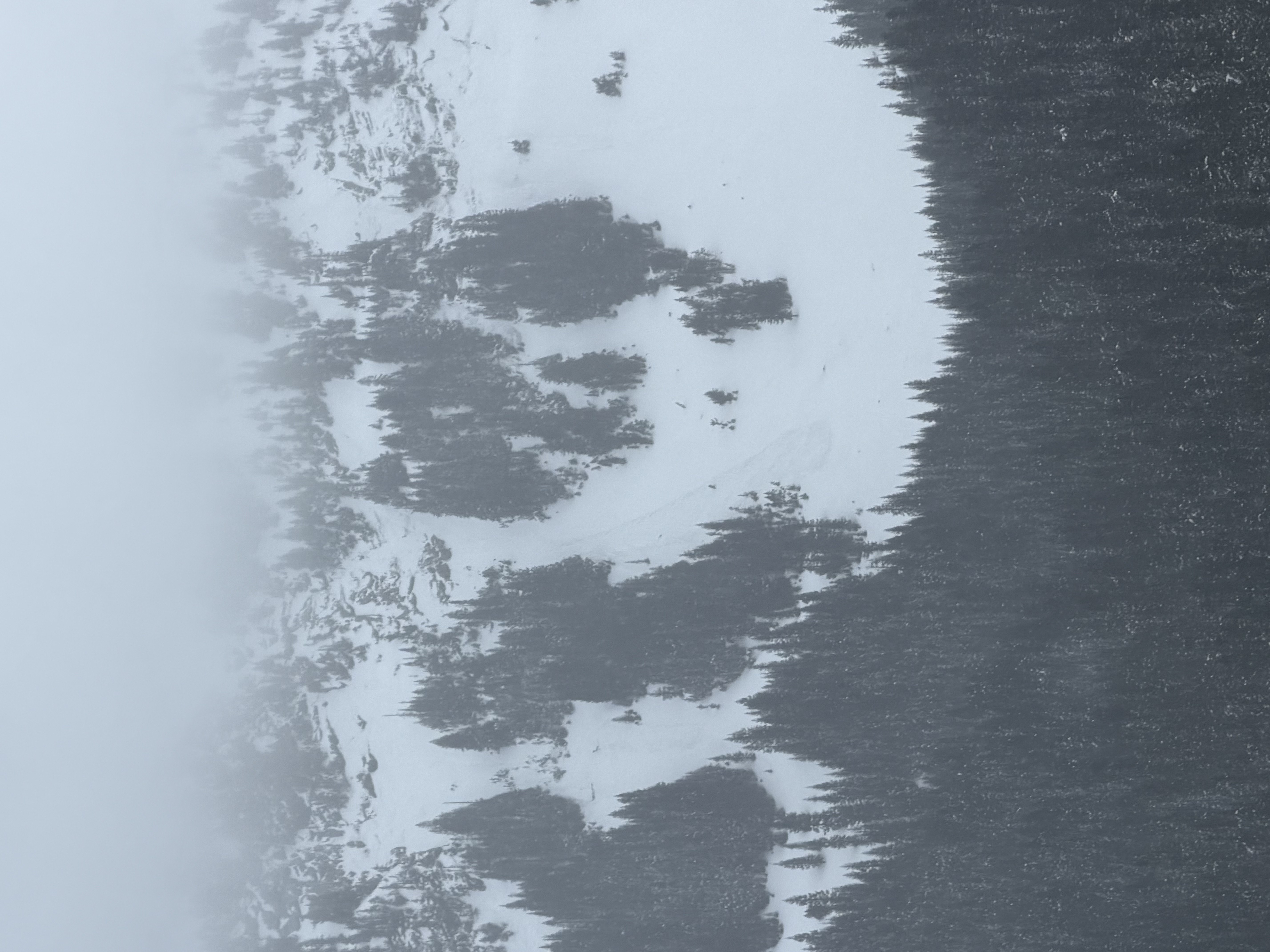 Observation photo