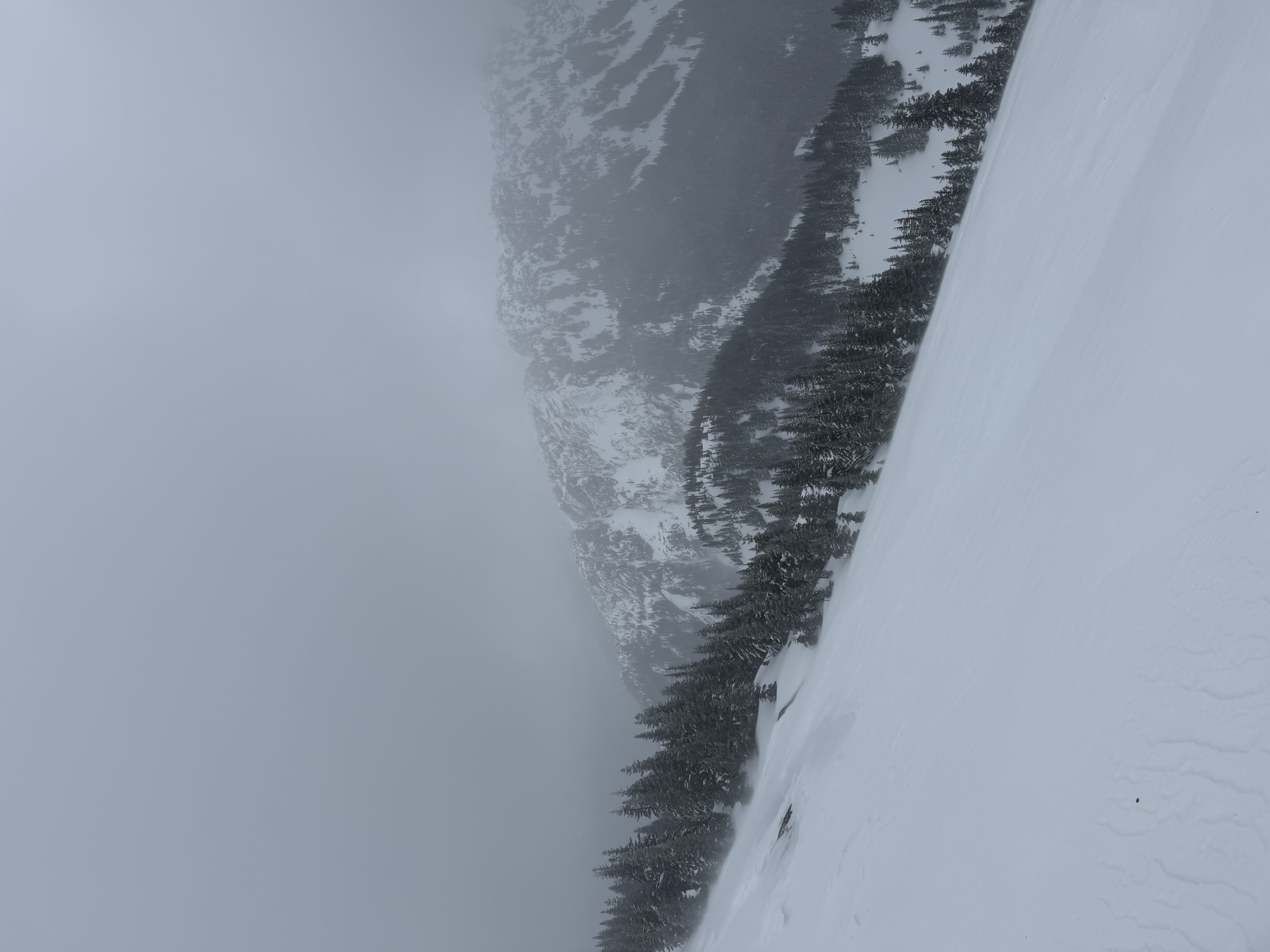 Observation photo