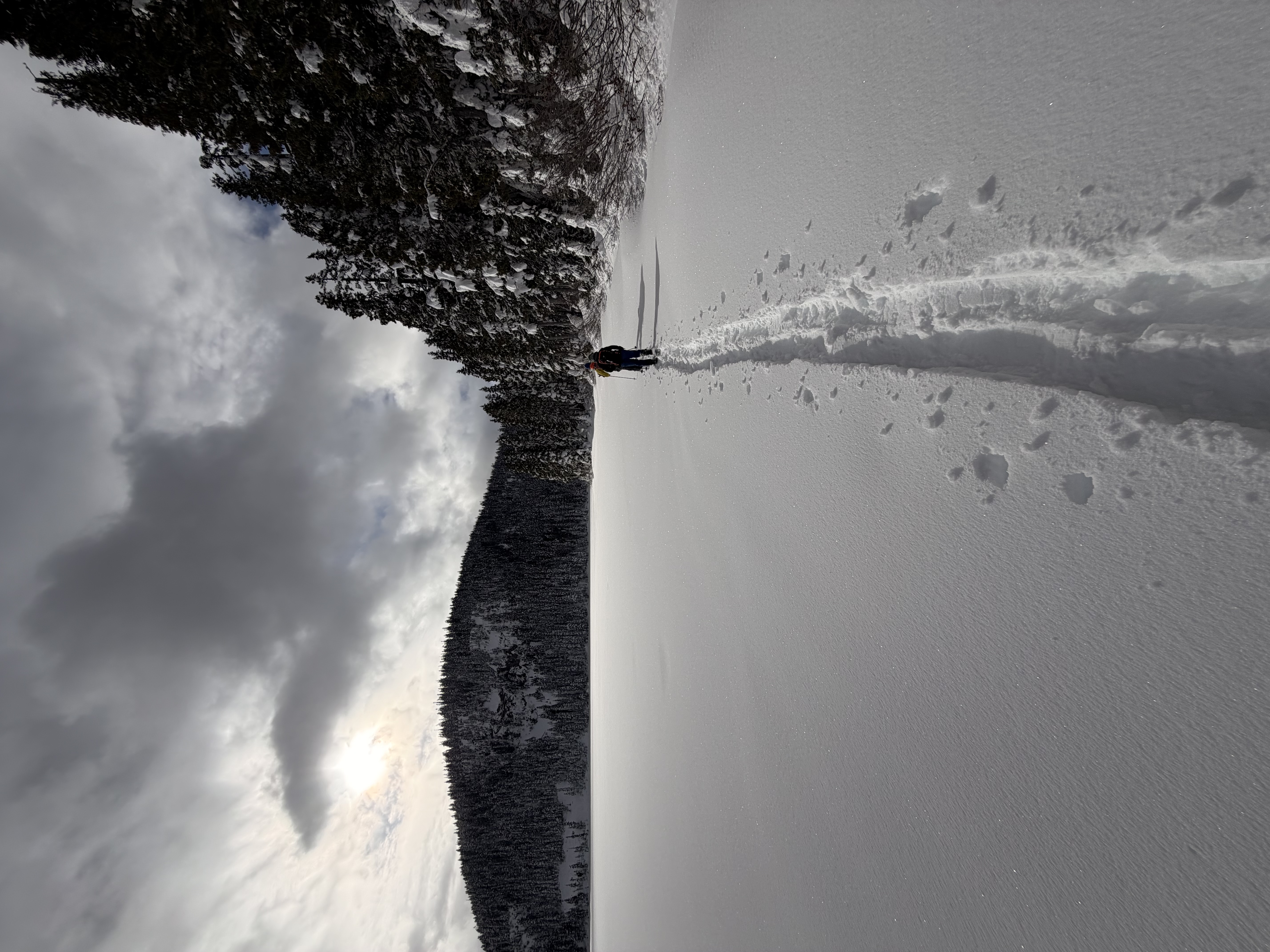 Observation photo