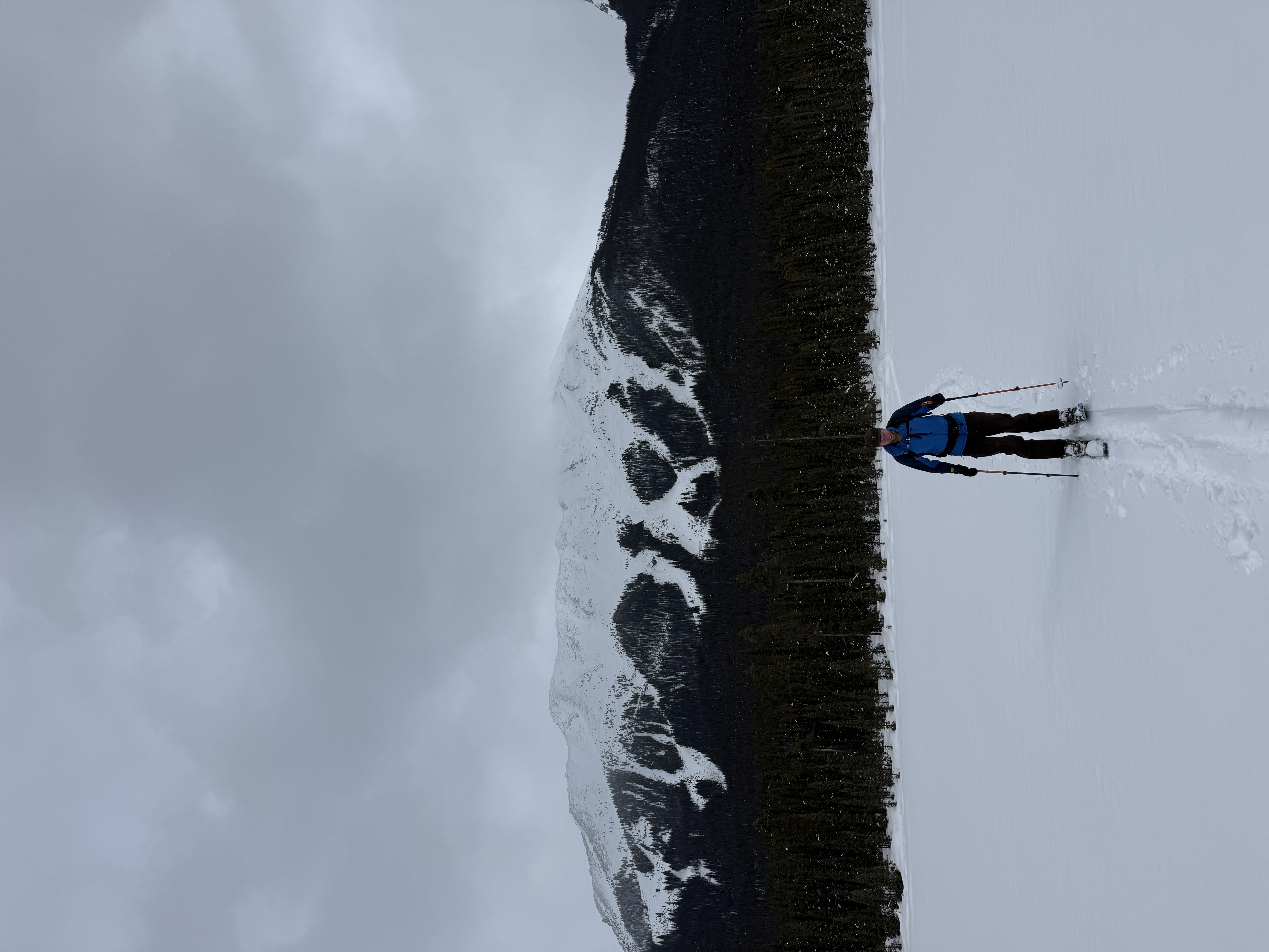 Observation photo