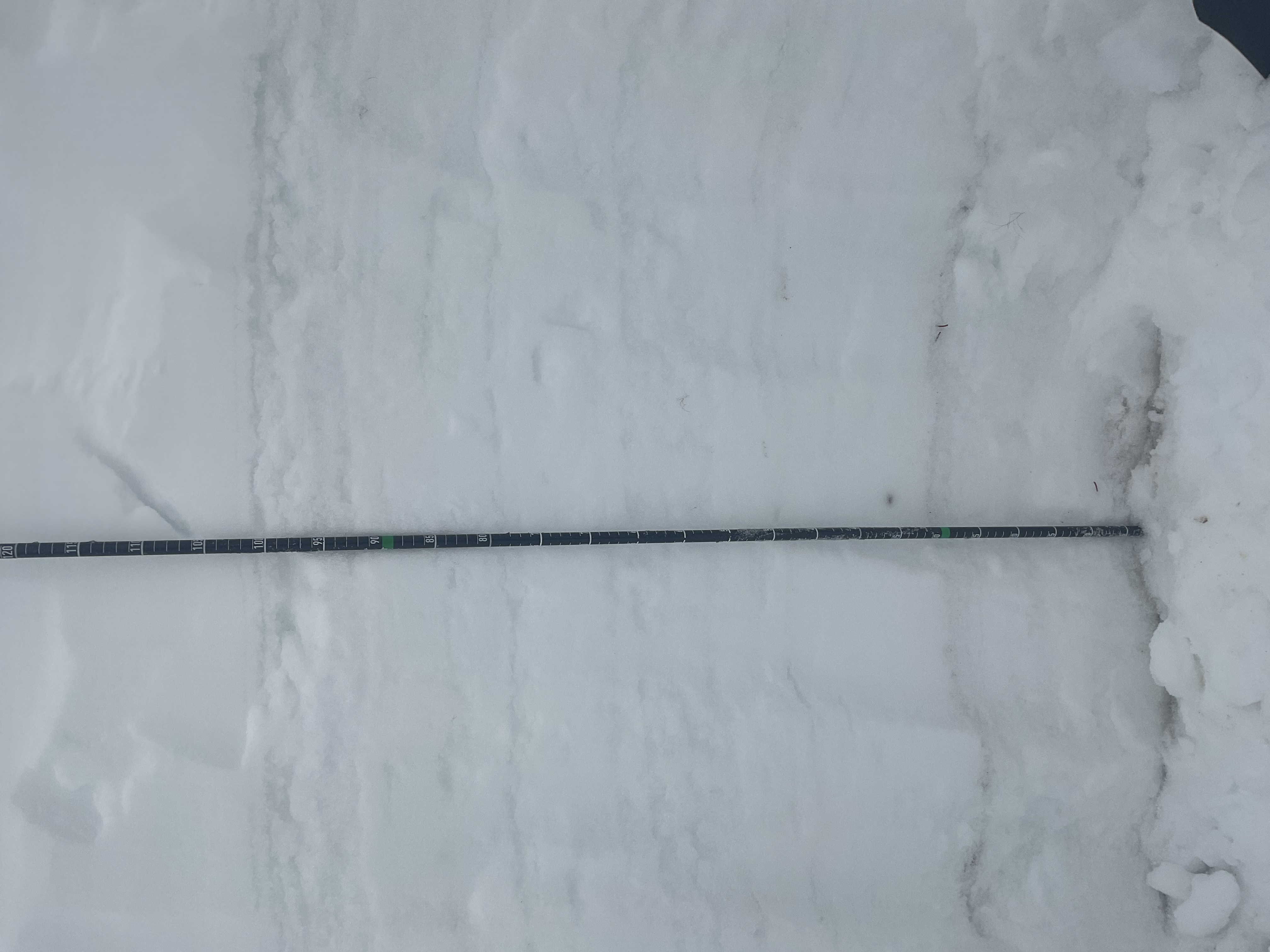 Observation photo