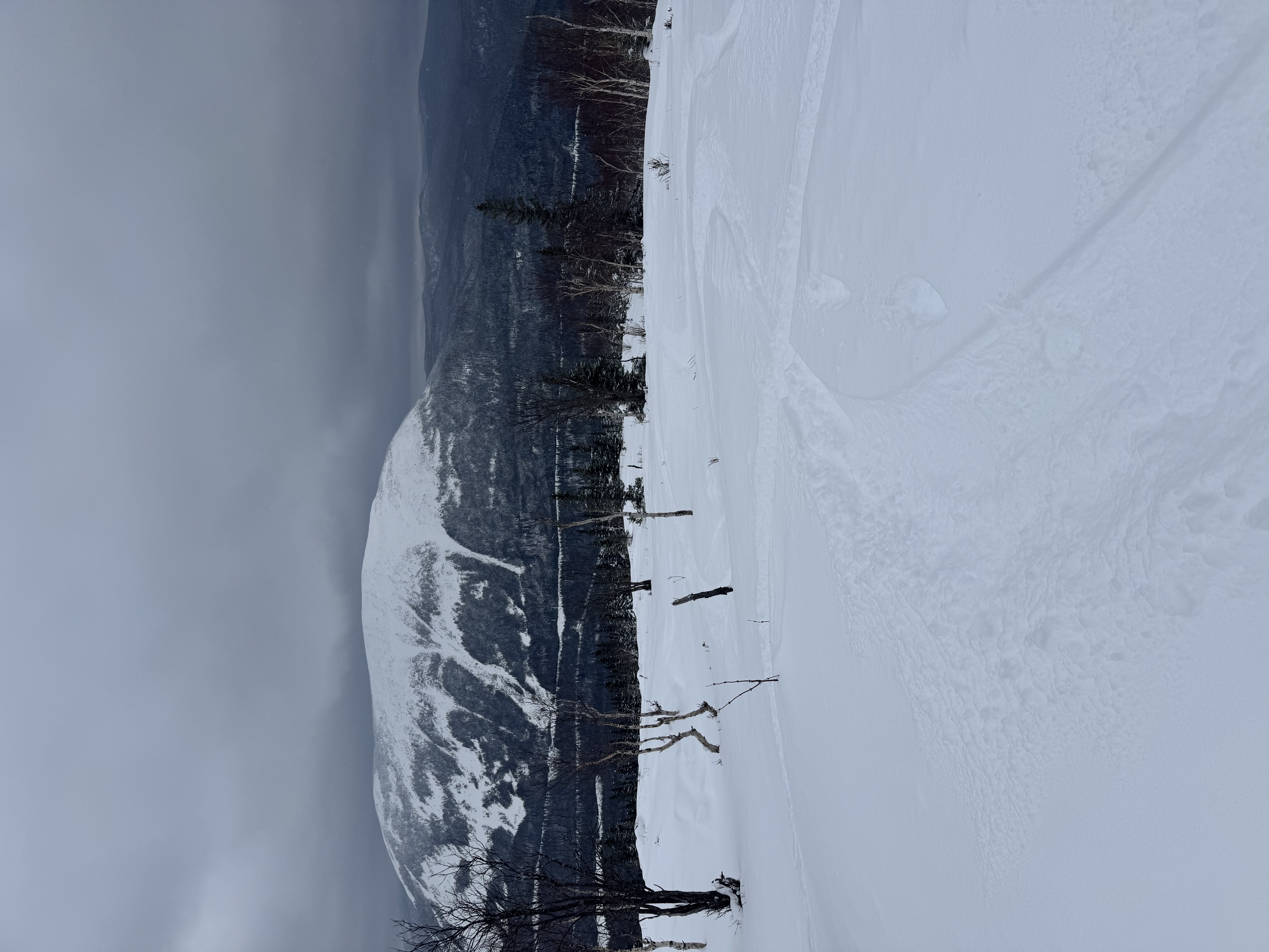 Observation photo