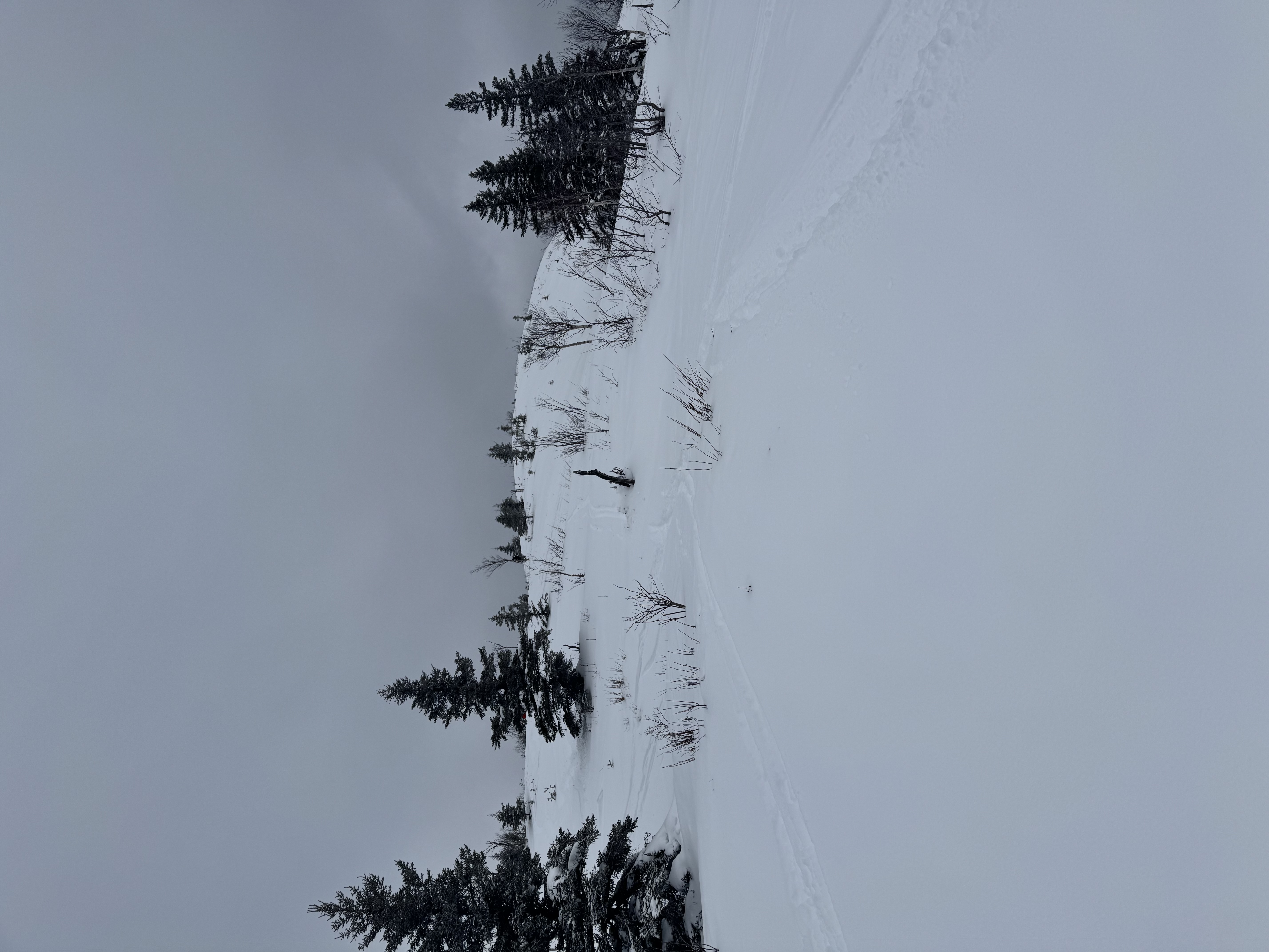 Observation photo