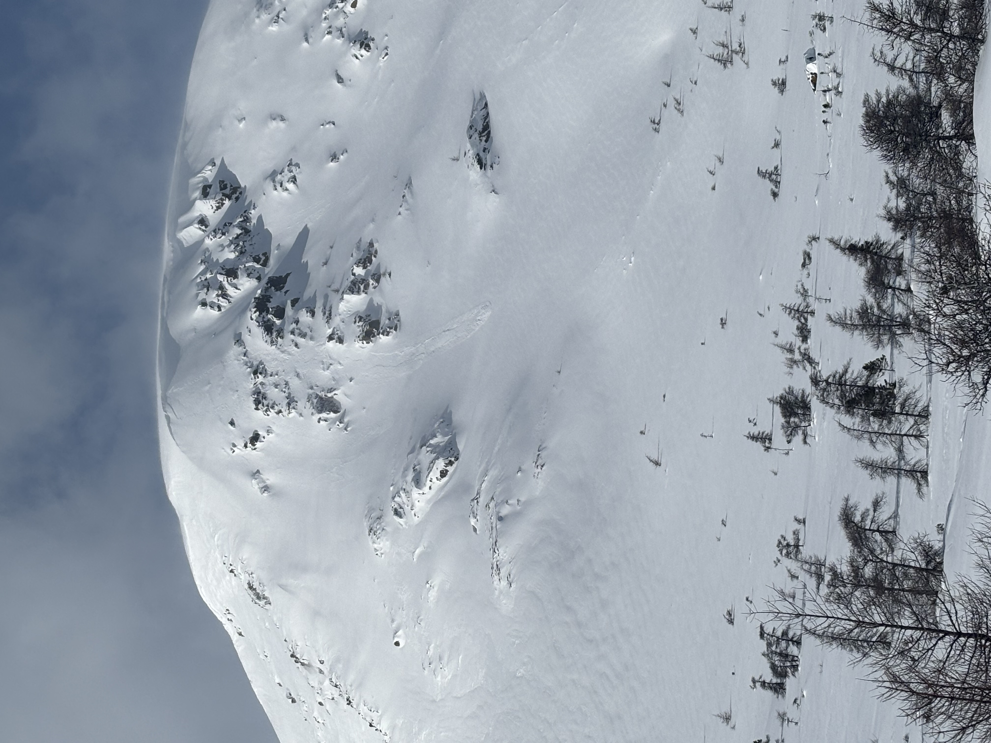 Observation photo