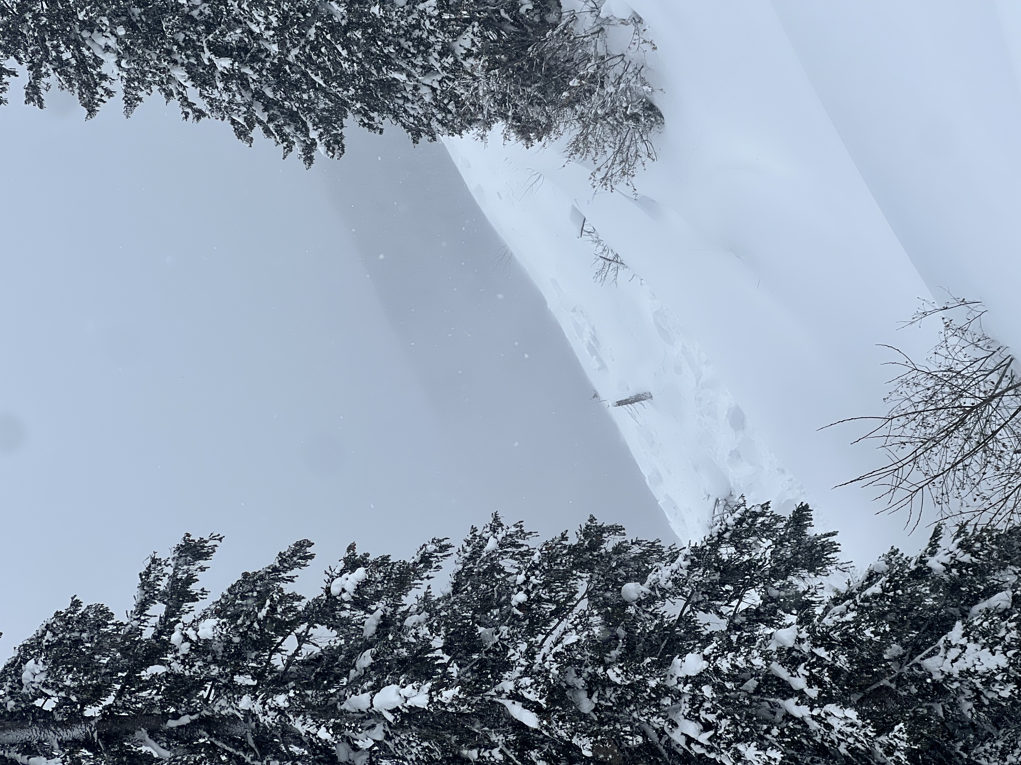 Observation photo
