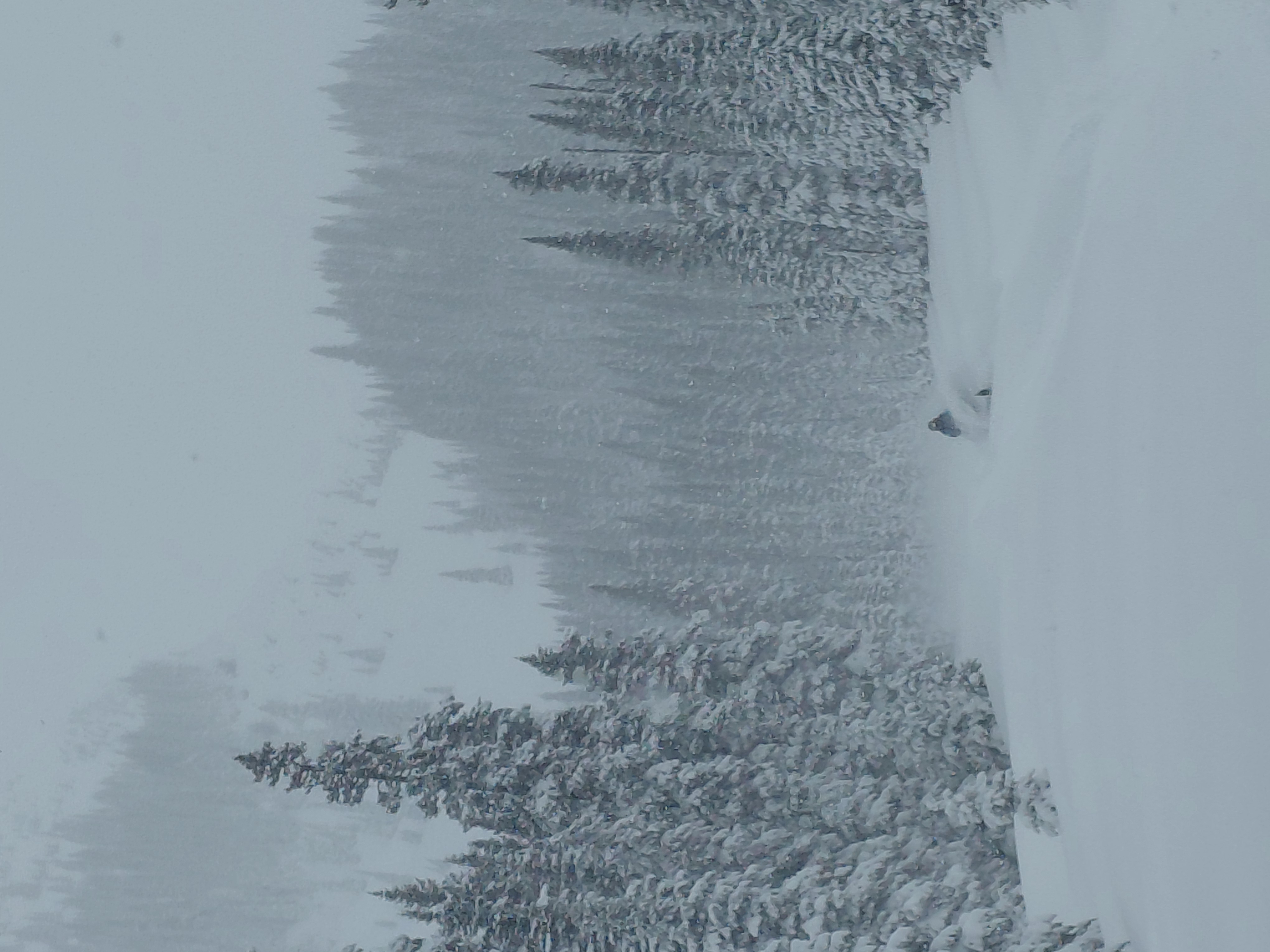 Observation photo