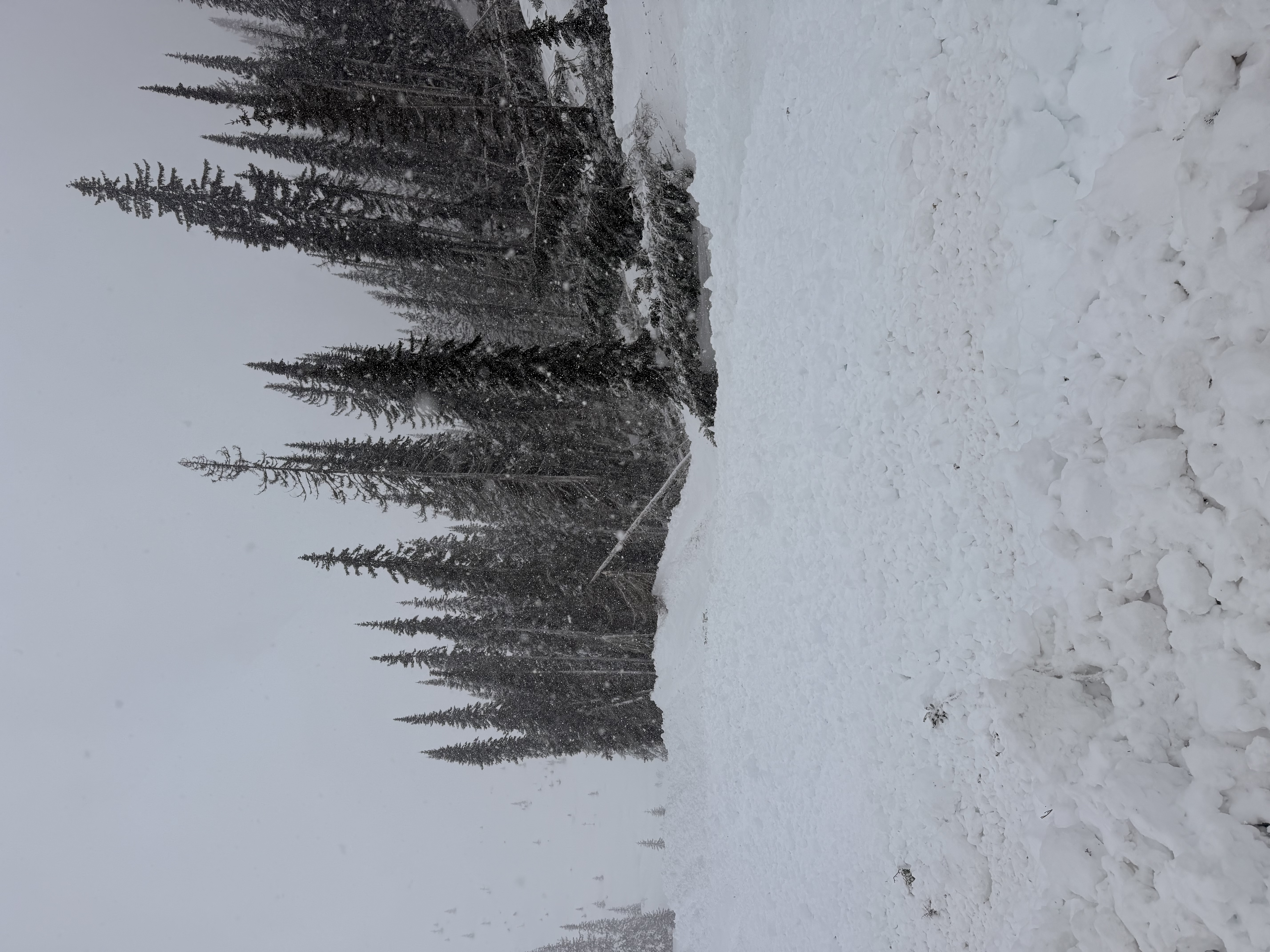 Observation photo