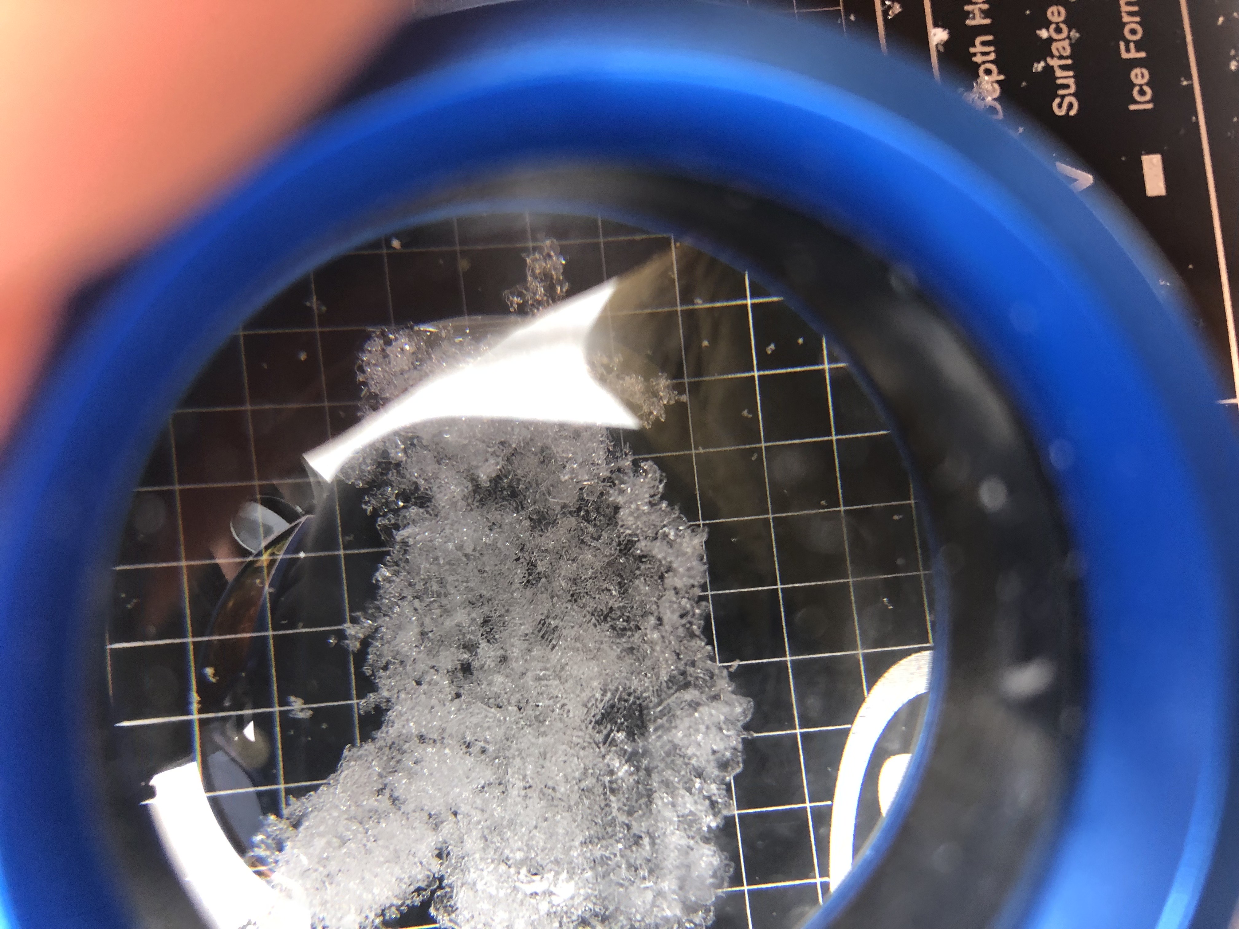 Observation photo
