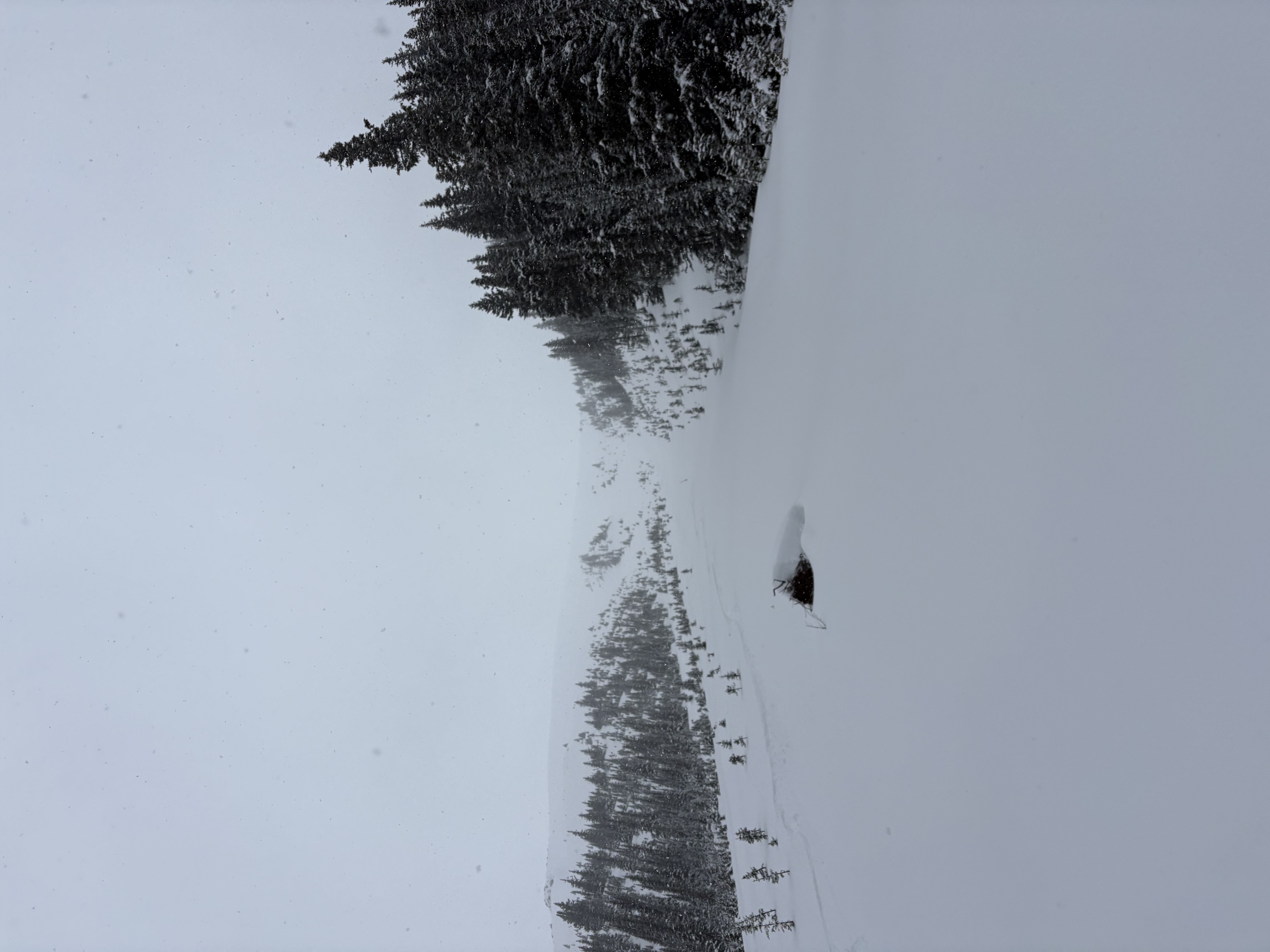 Observation photo
