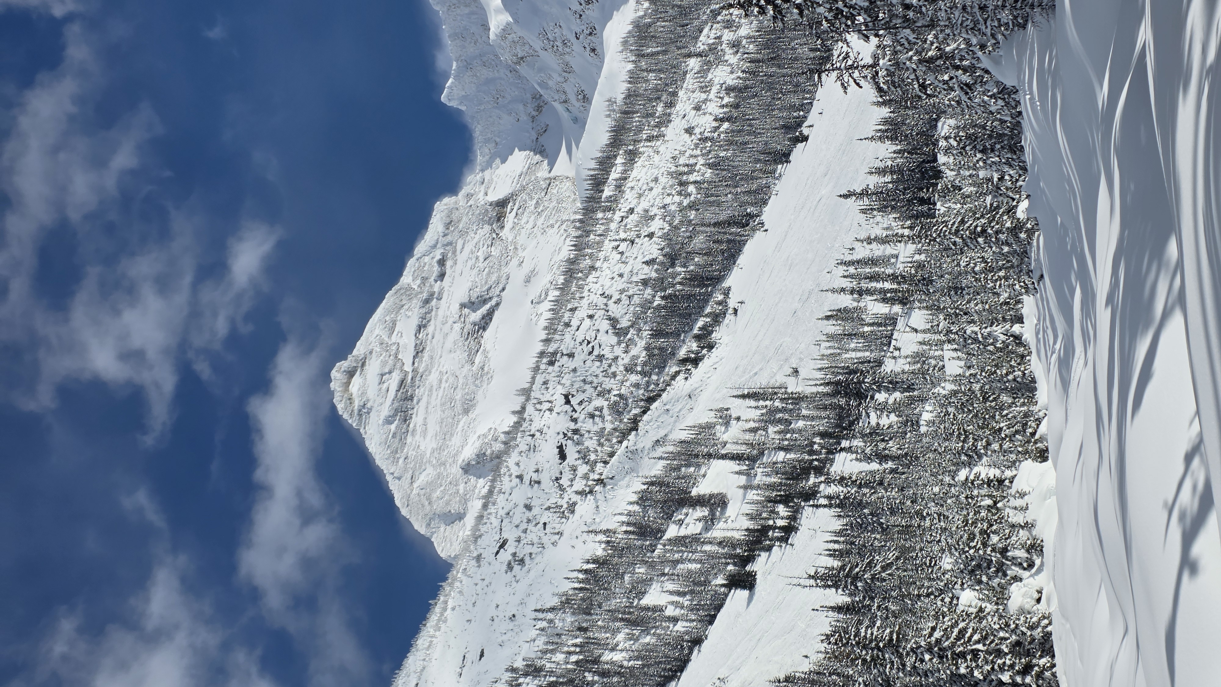 Observation photo