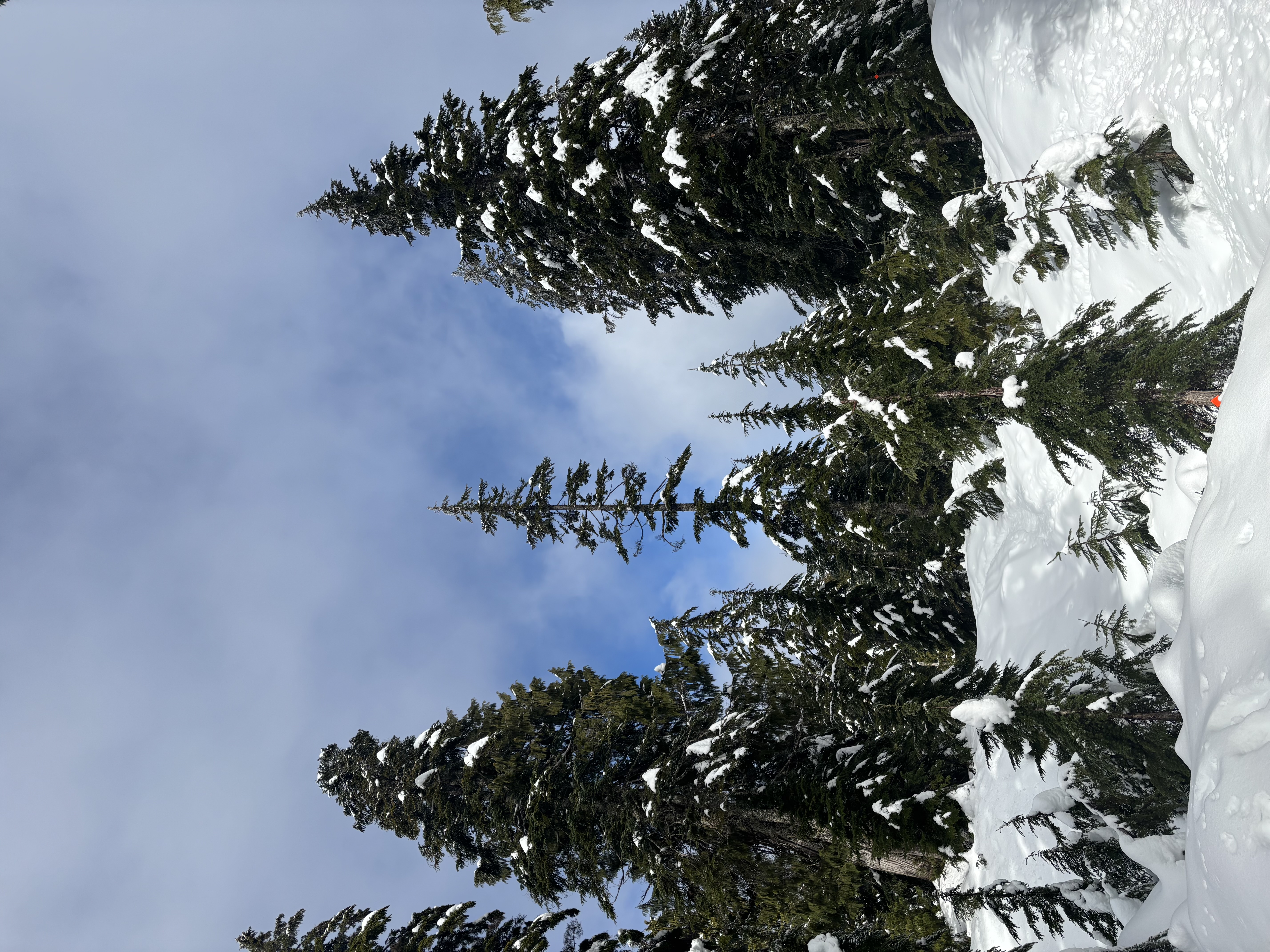 Observation photo