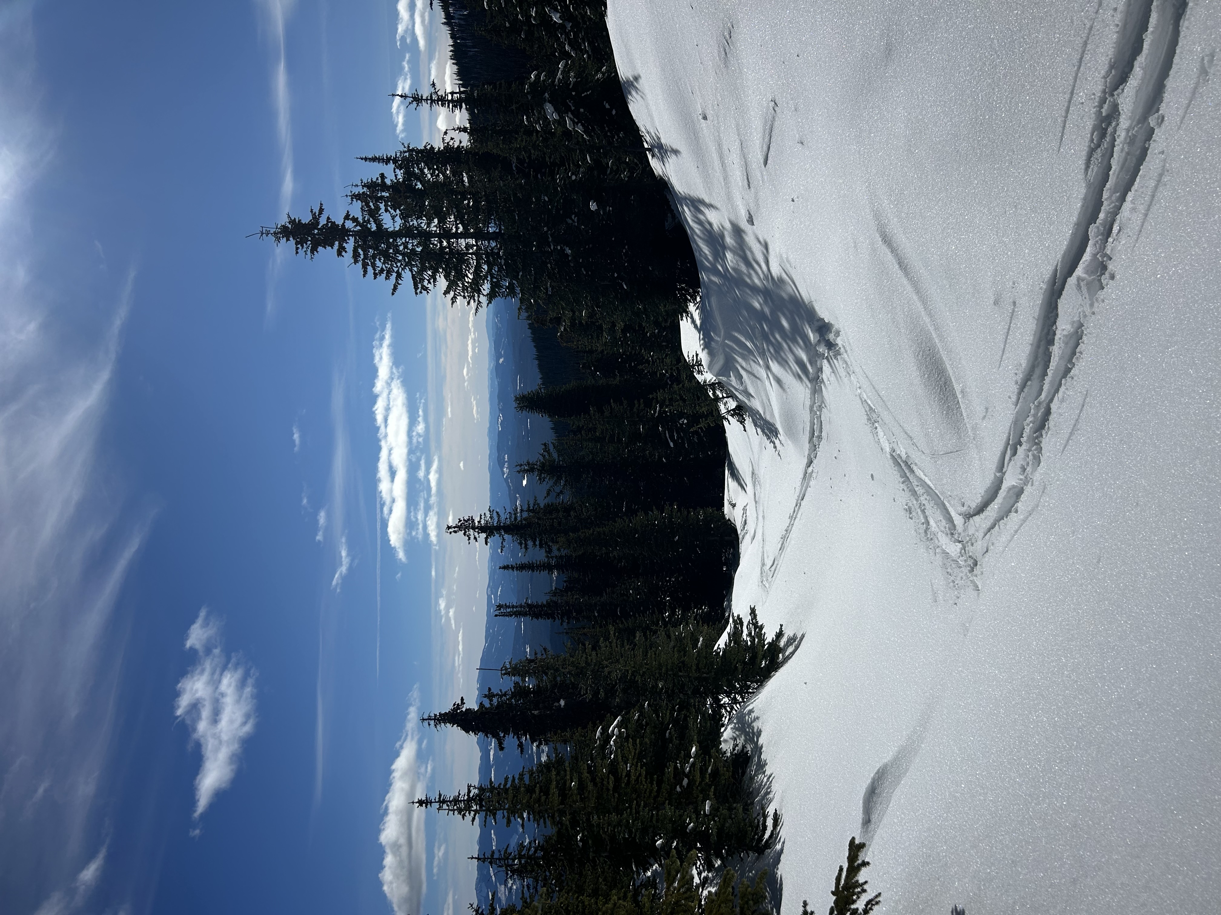 Observation photo