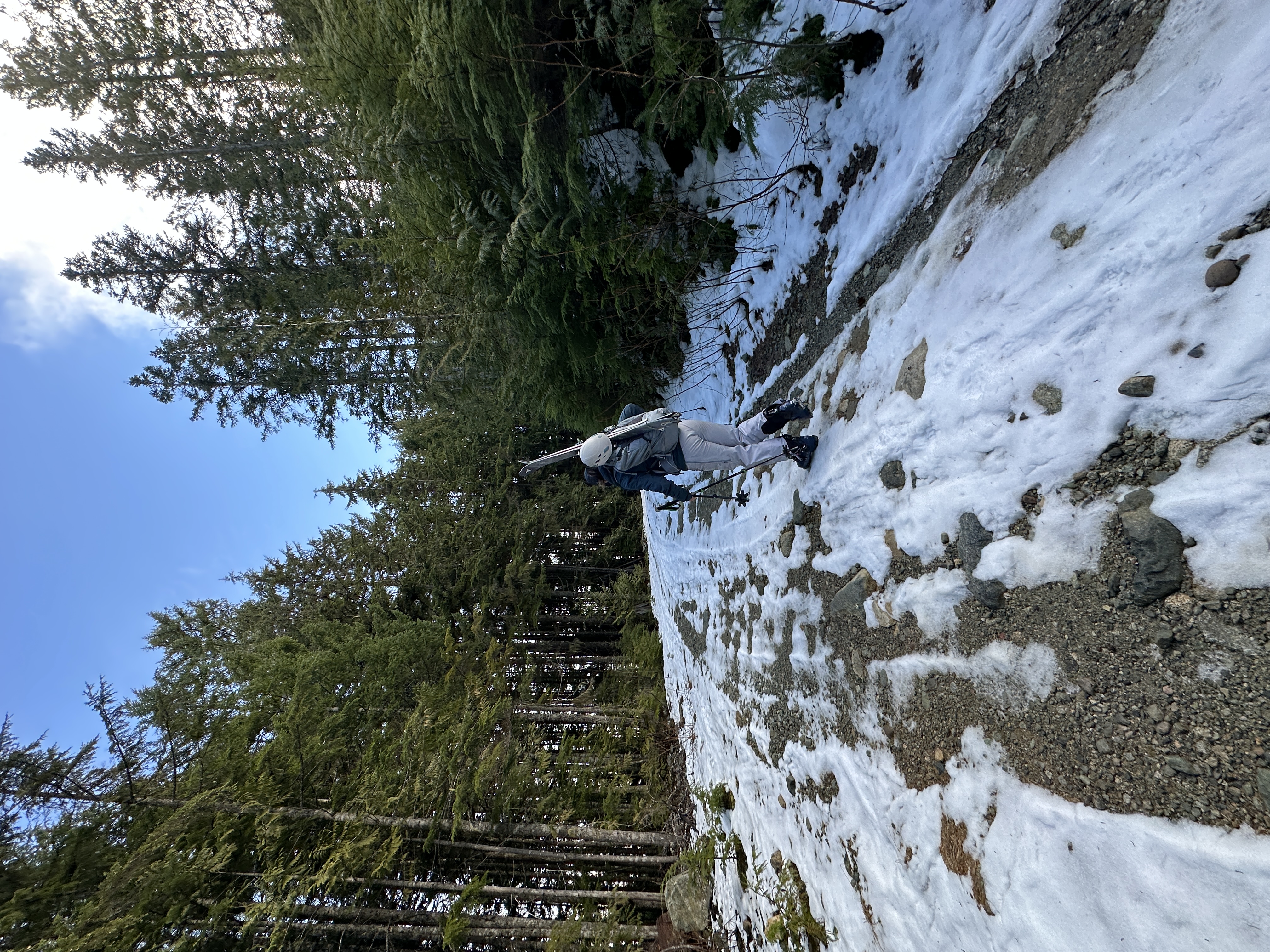 Observation photo