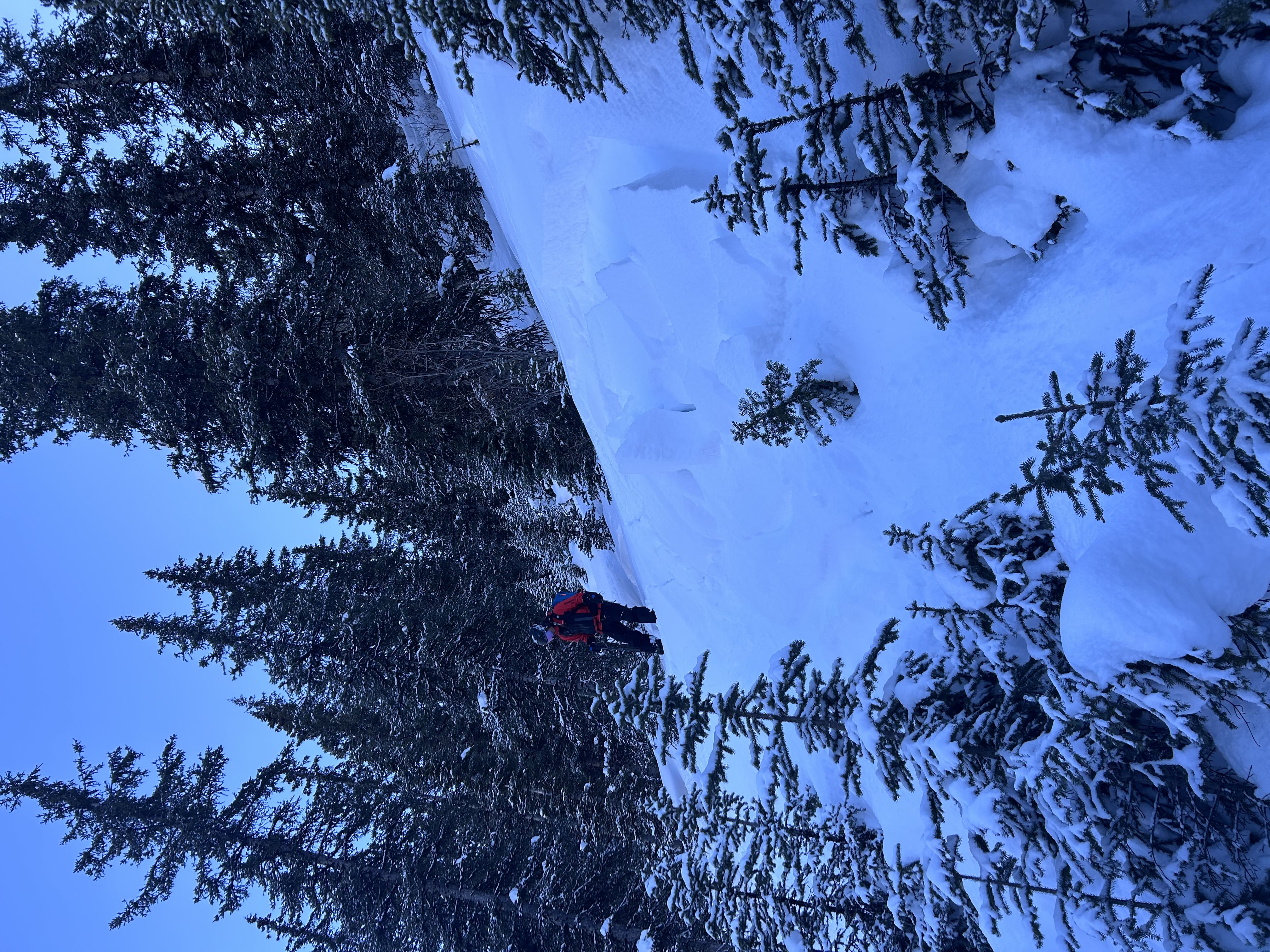 Observation photo