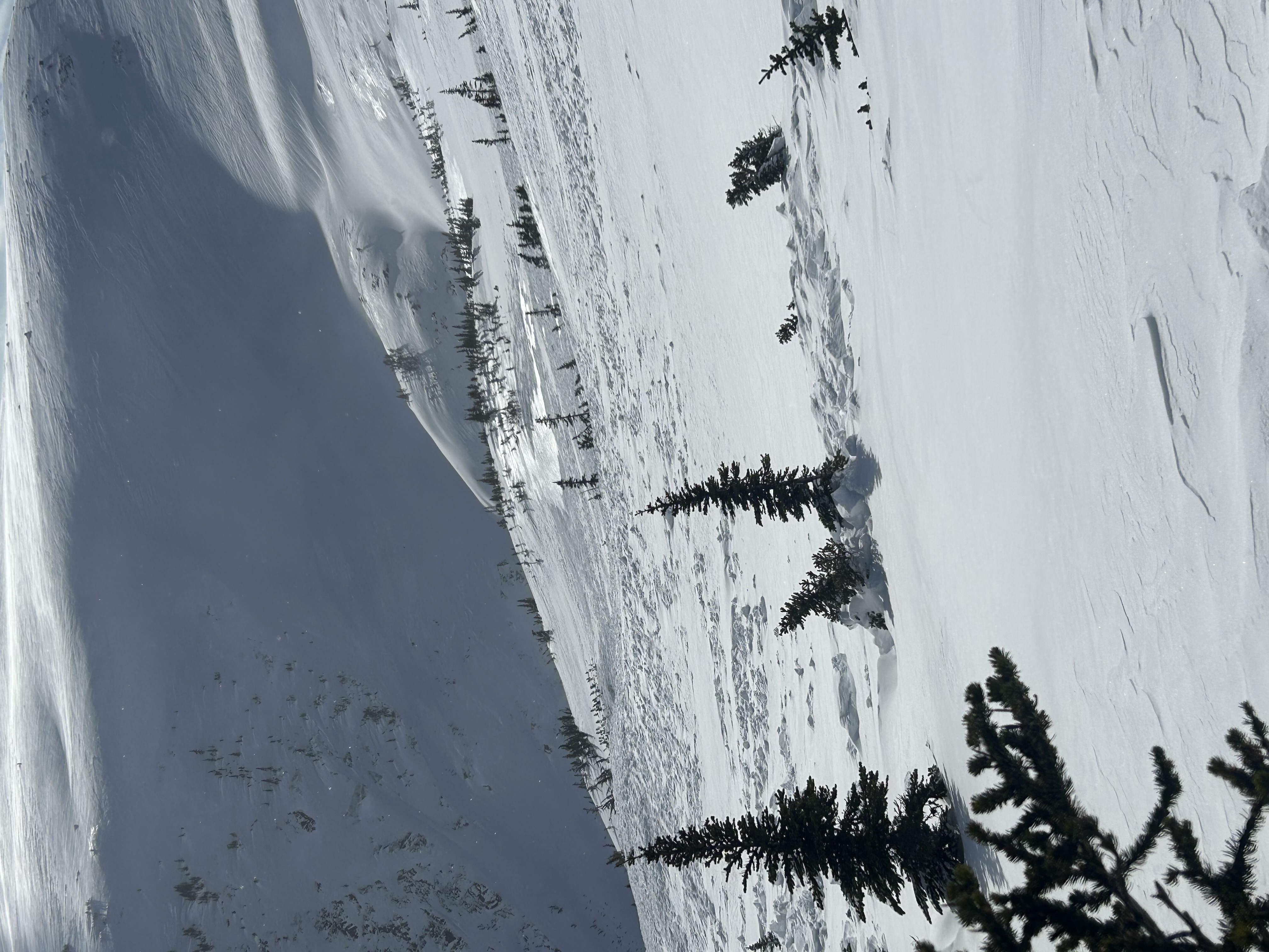 Observation photo