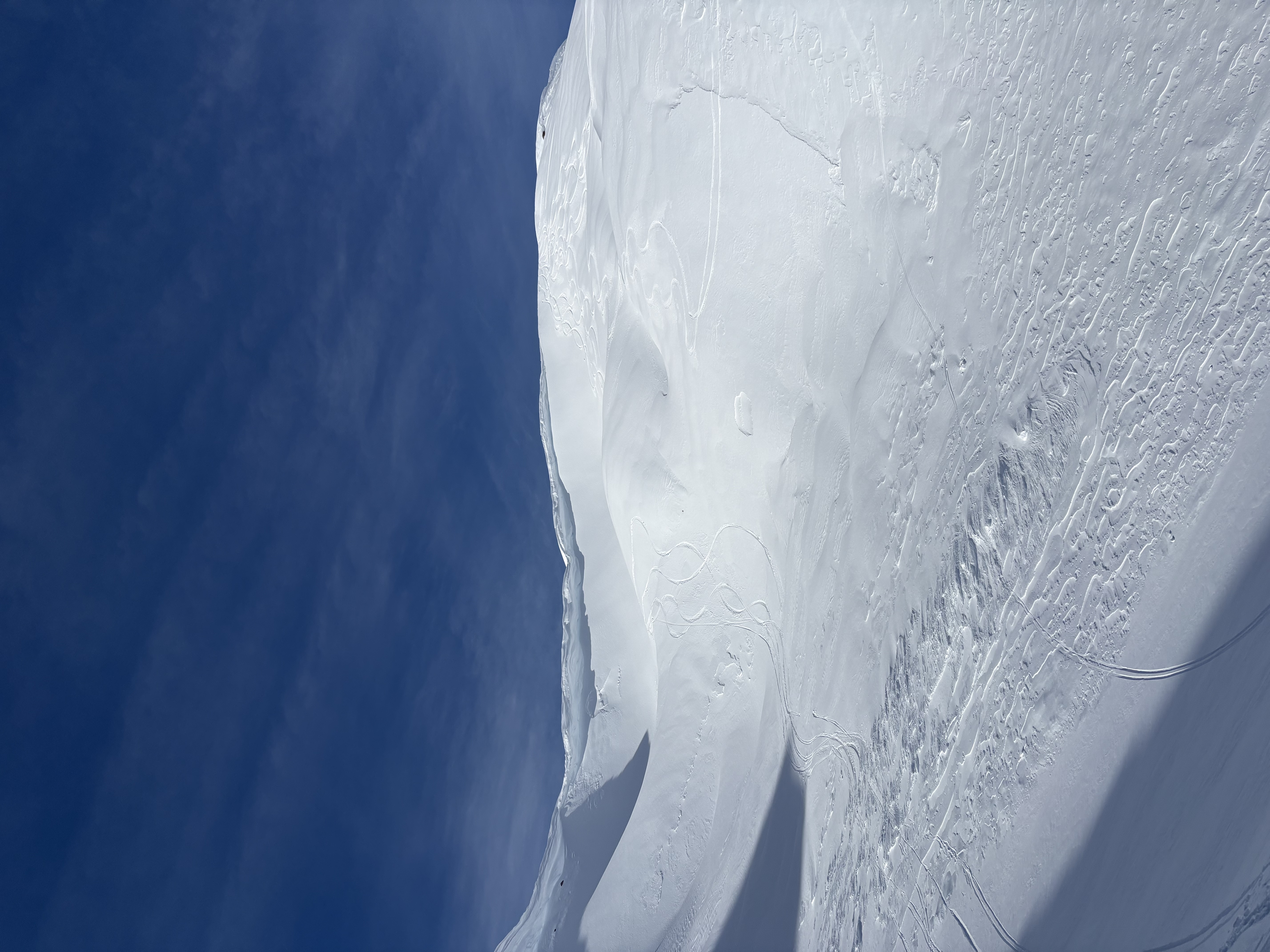 Observation photo