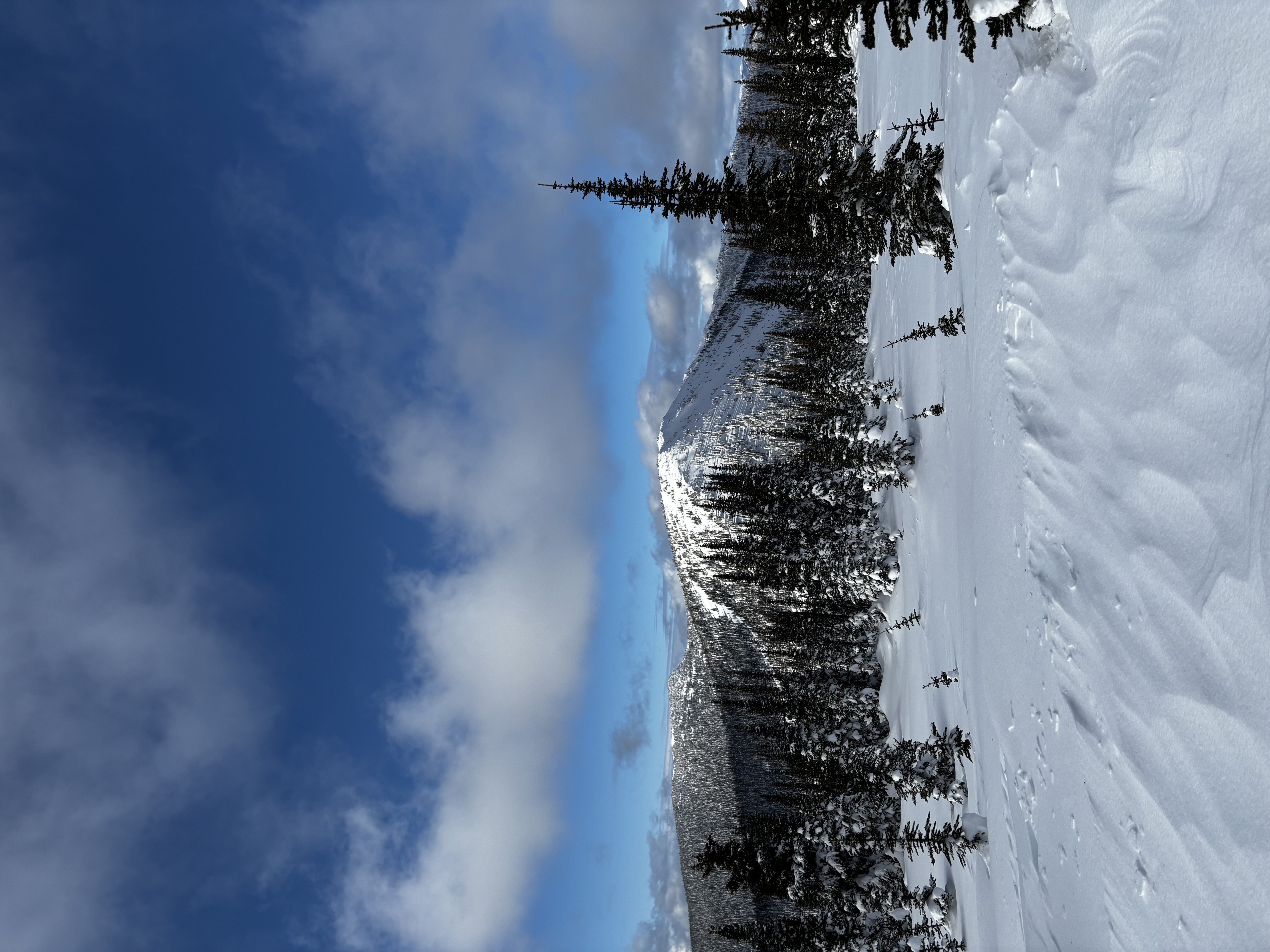 Observation photo