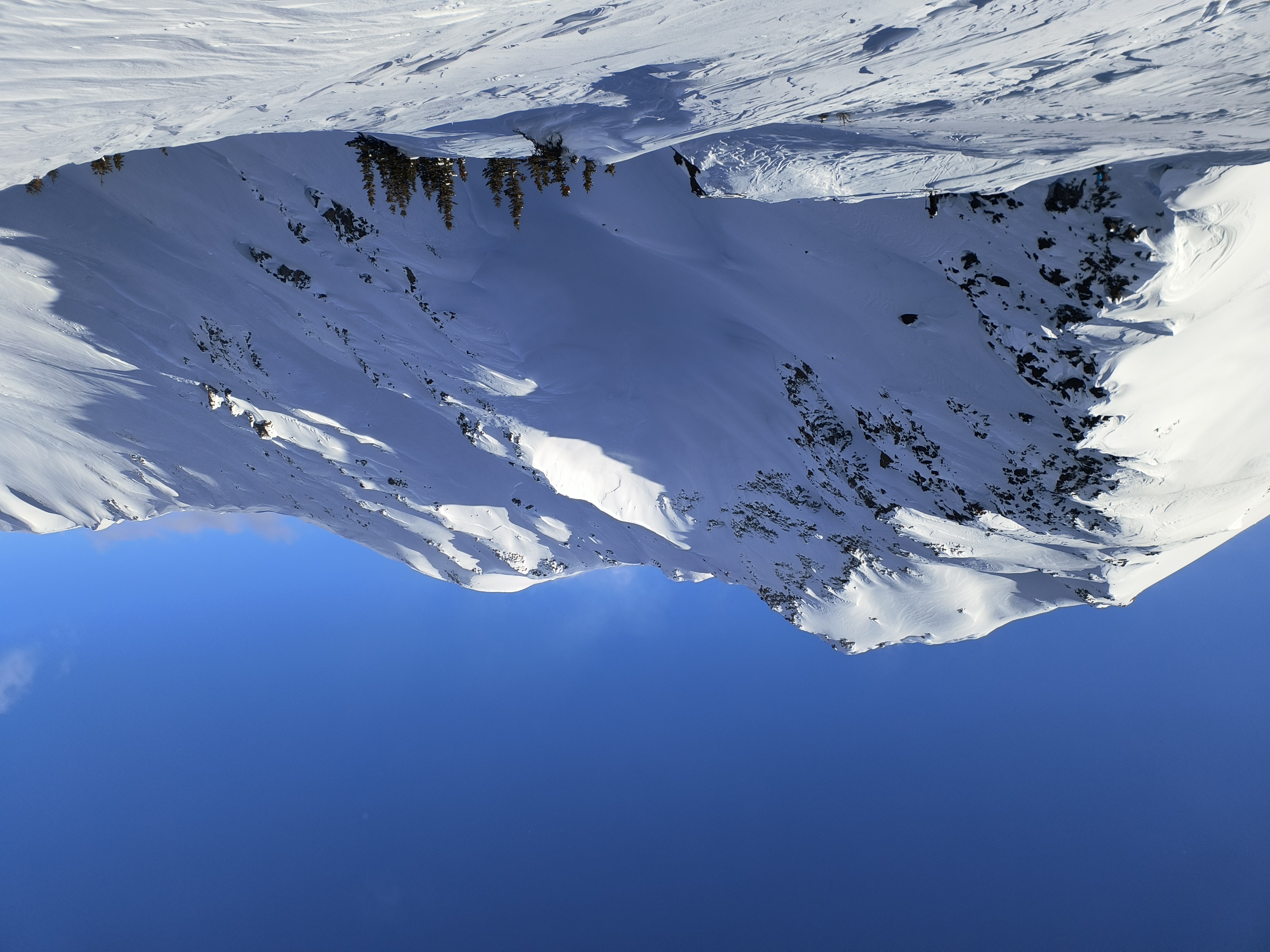 Observation photo