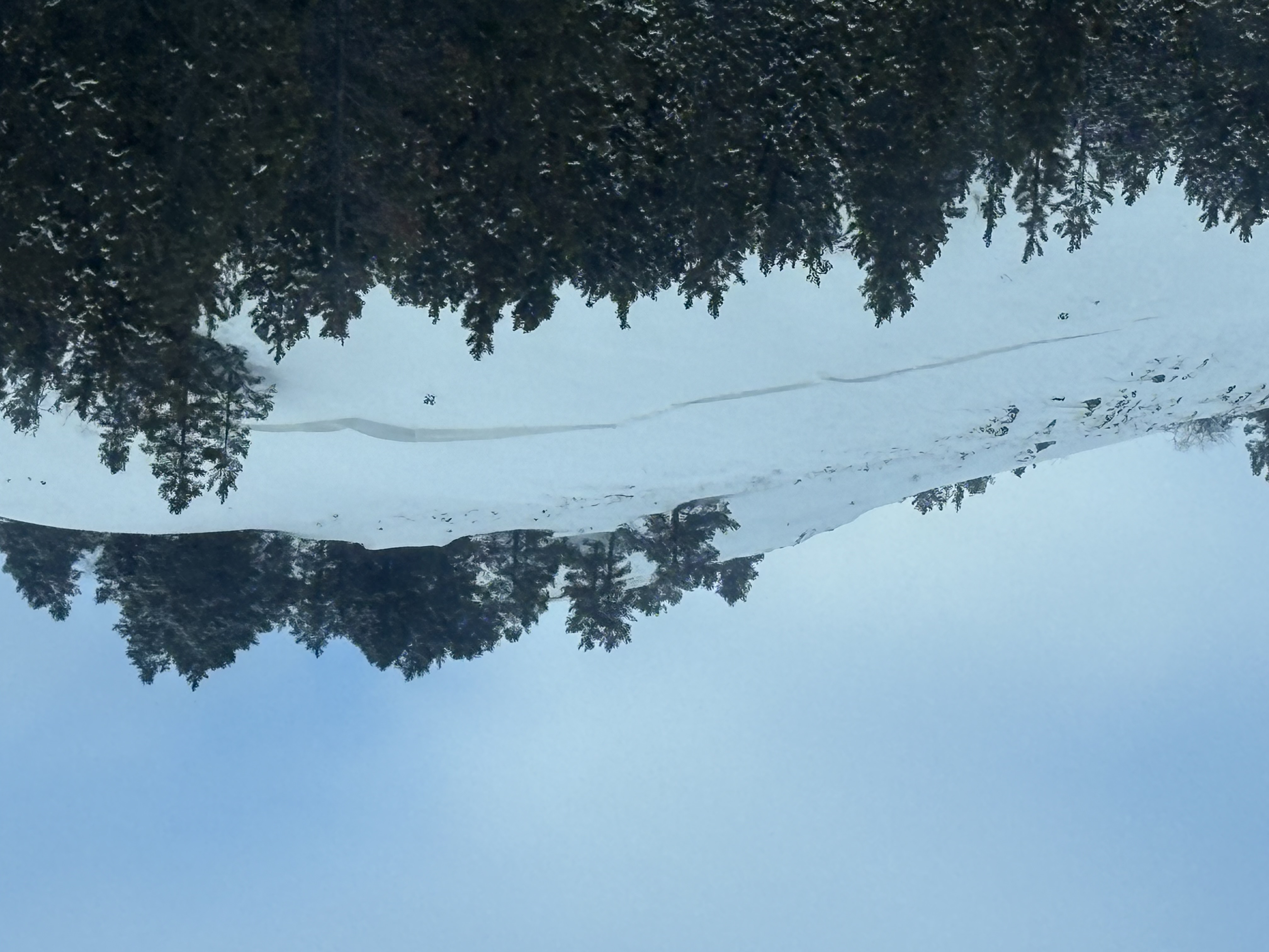 Observation photo