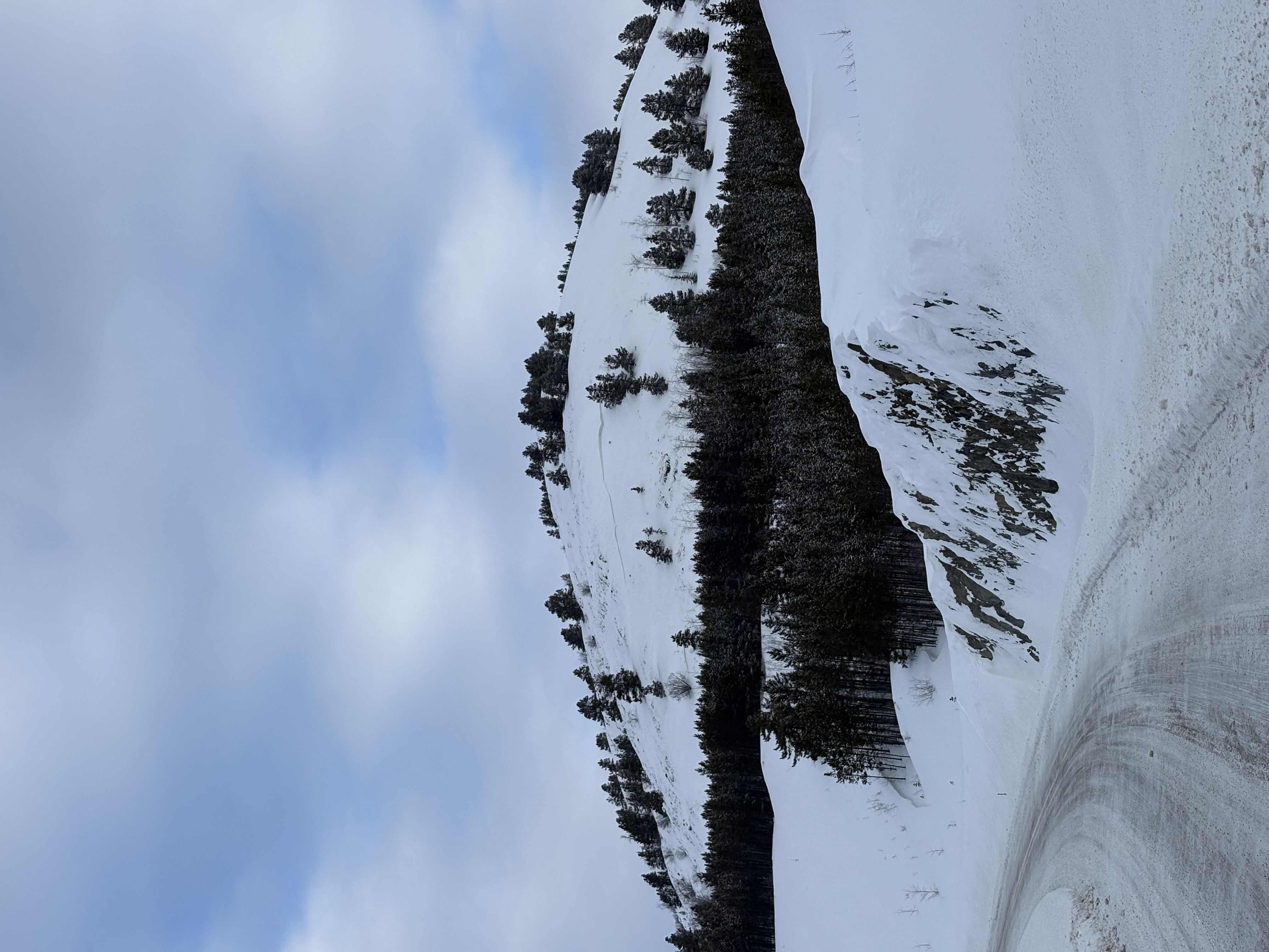 Observation photo