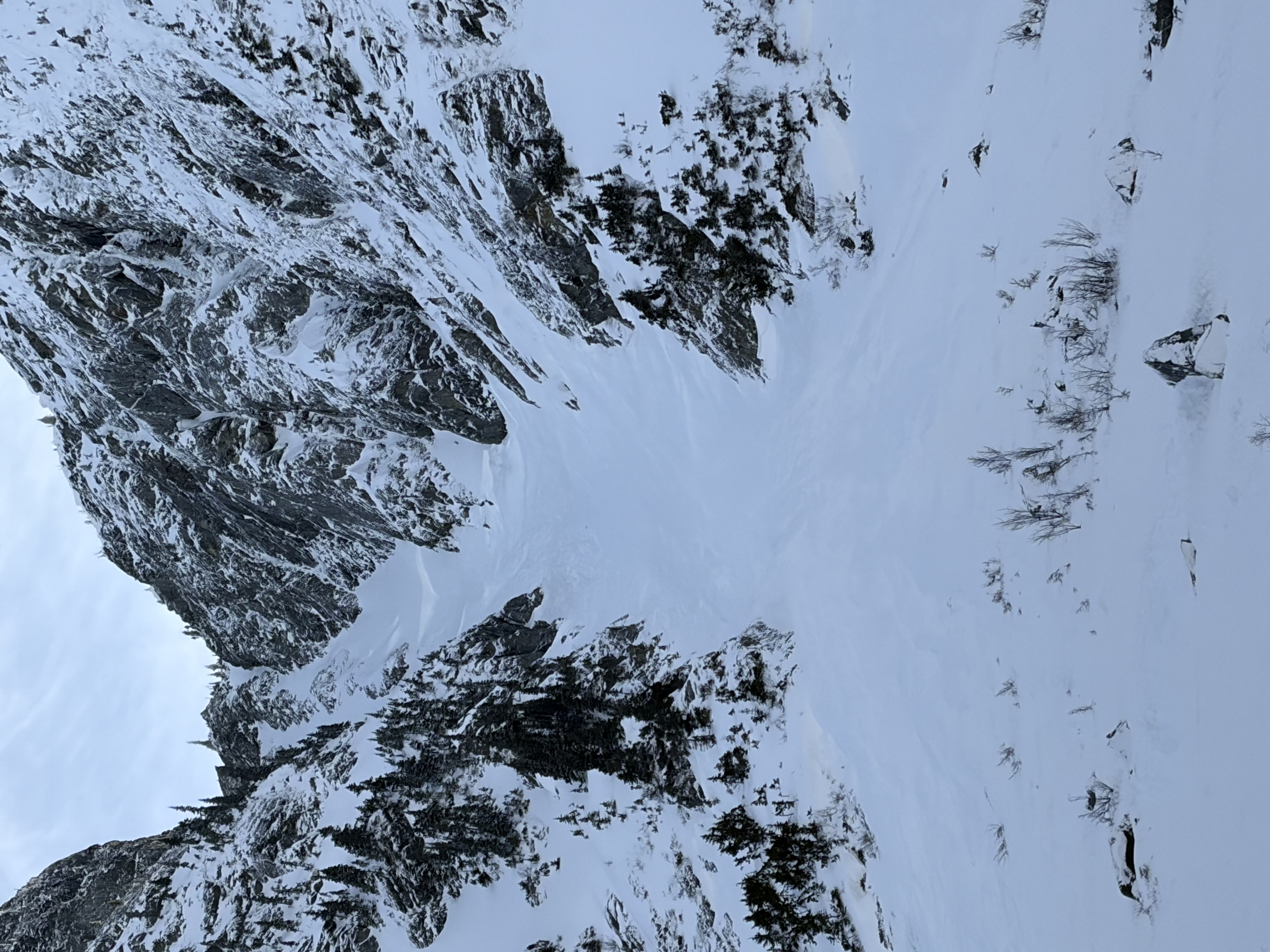 Observation photo