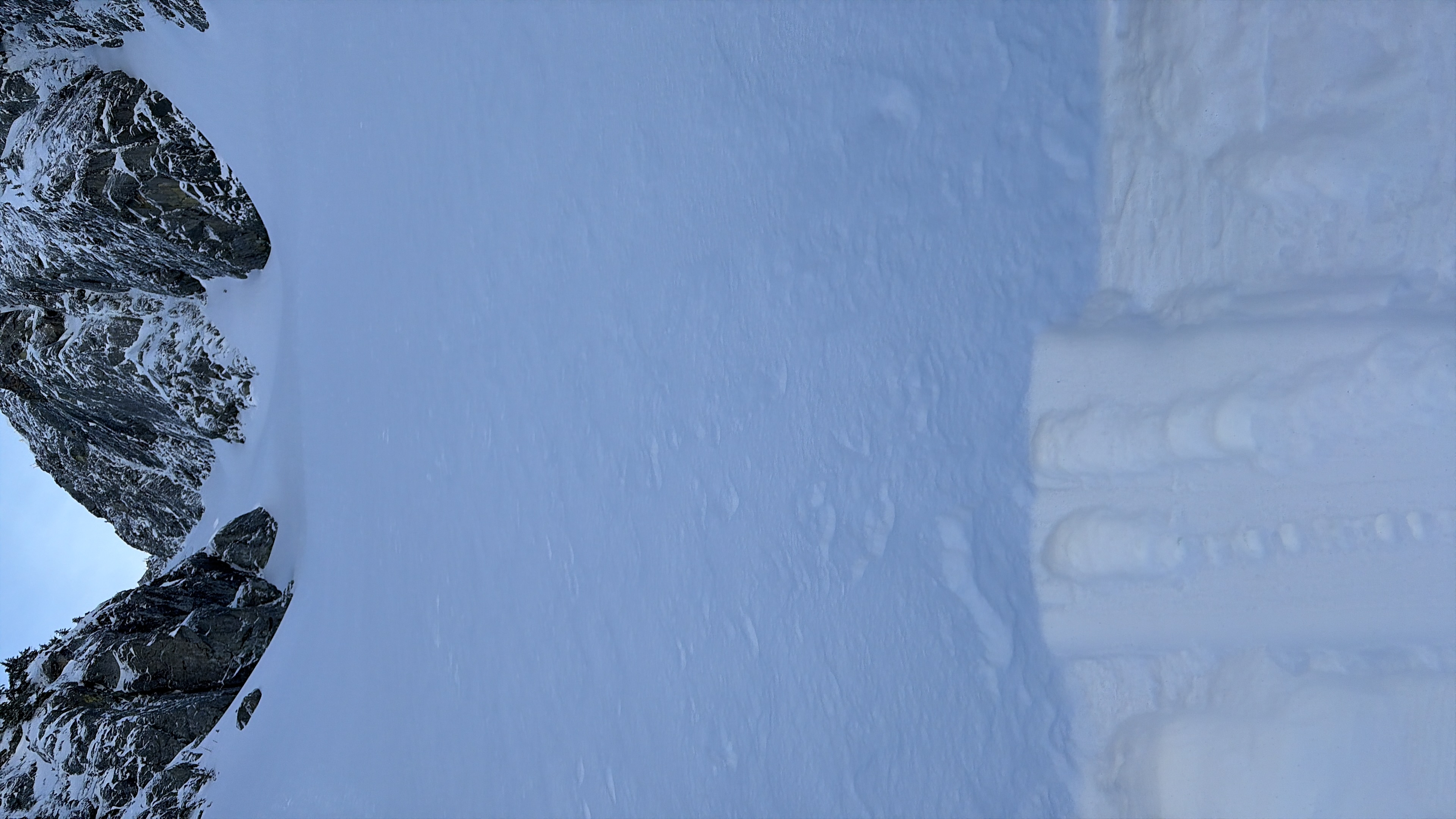 Observation photo