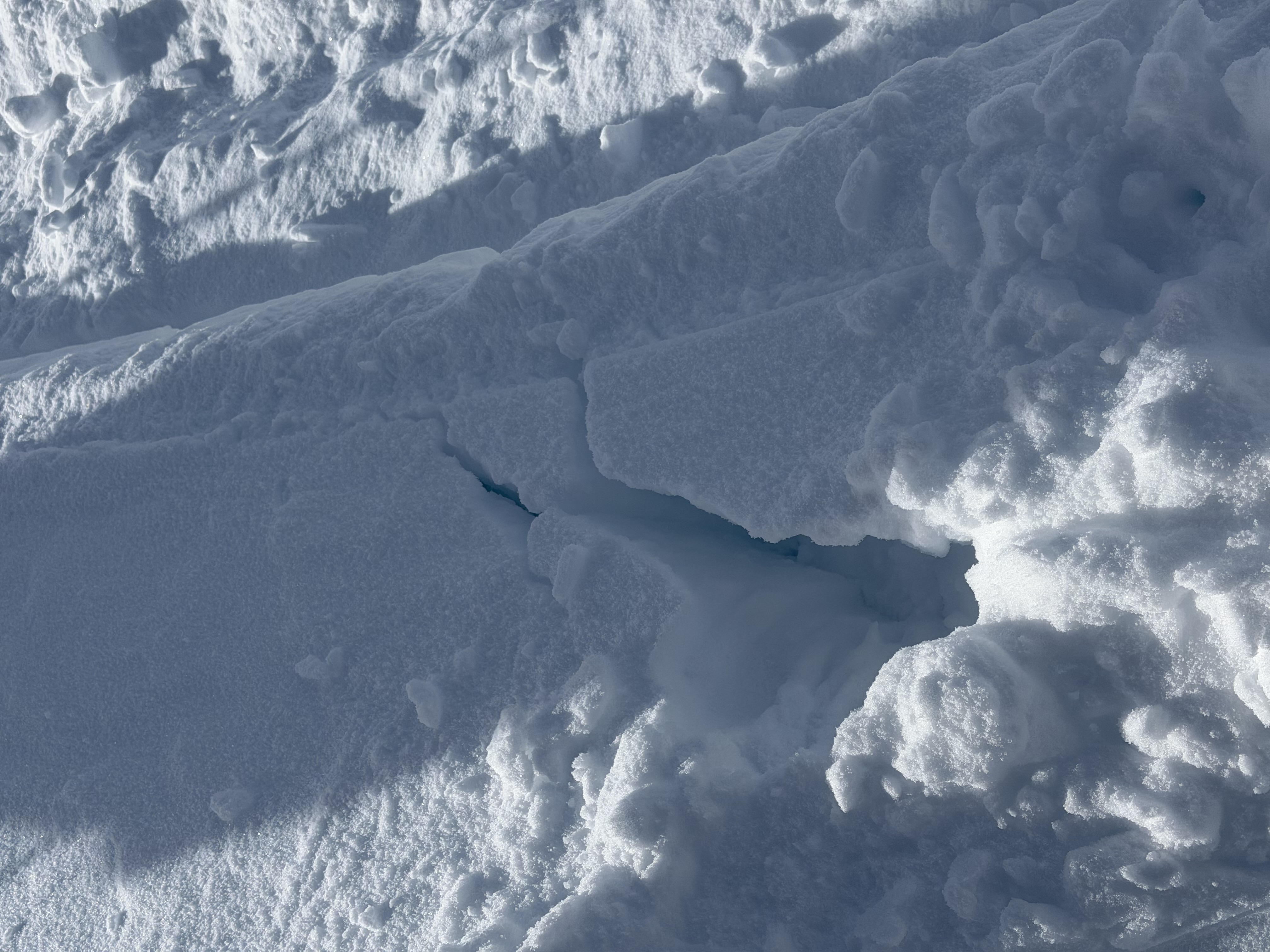 Observation photo