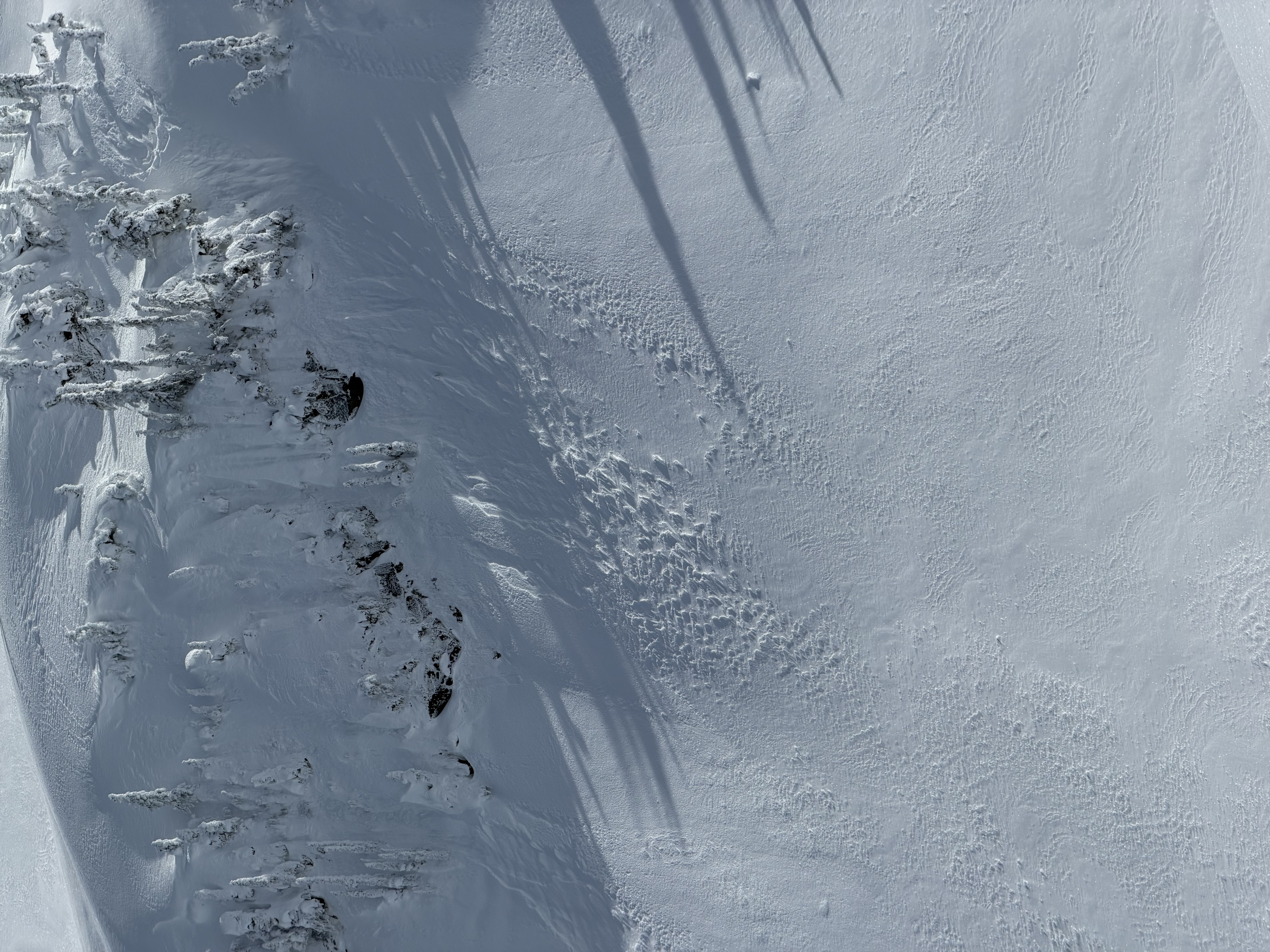 Observation photo