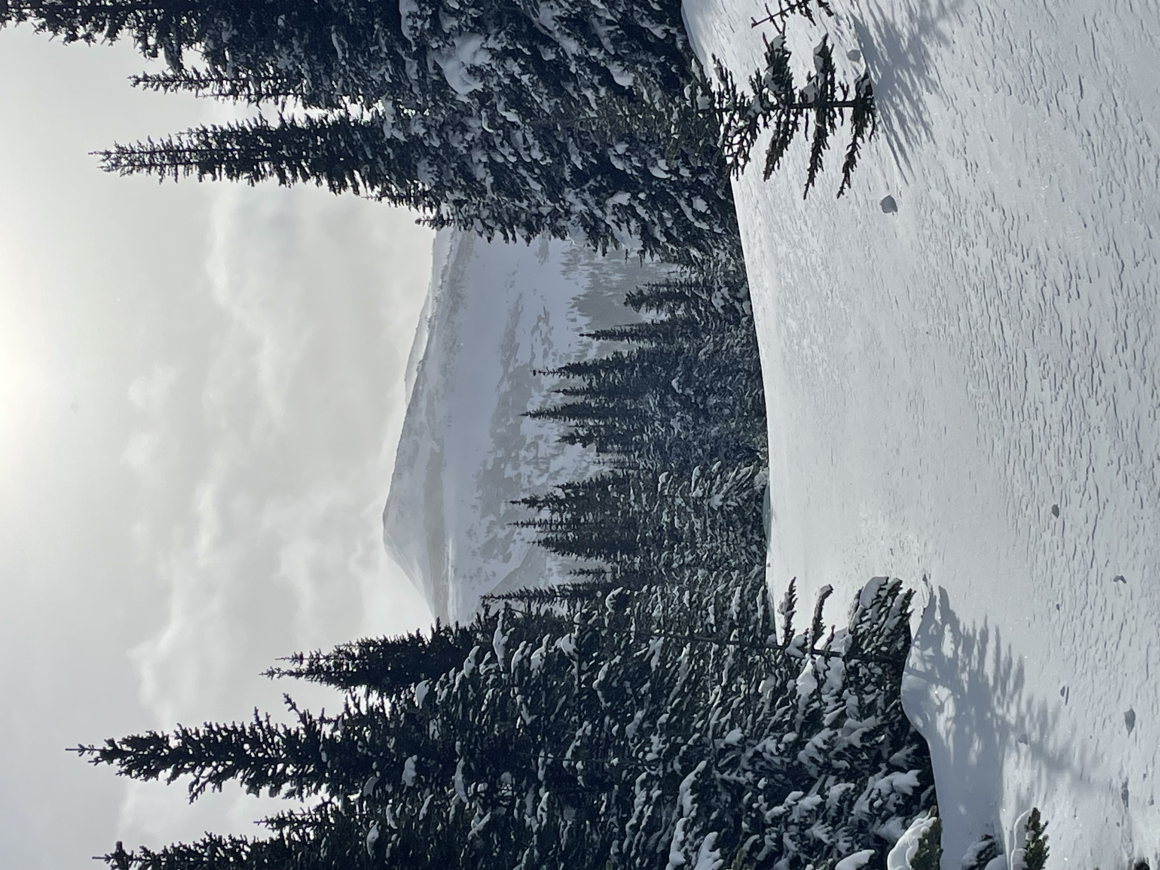 Observation photo