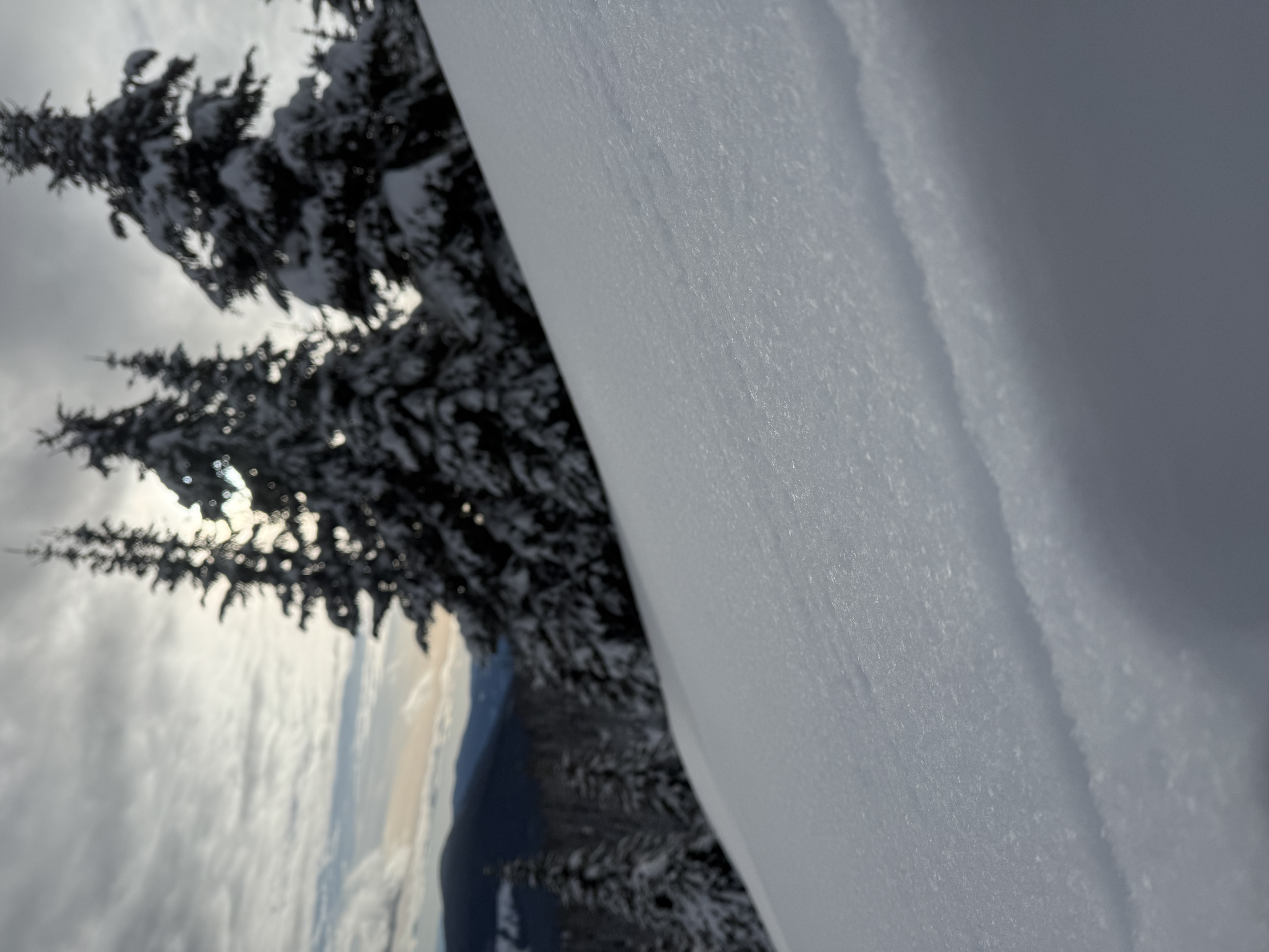 Observation photo