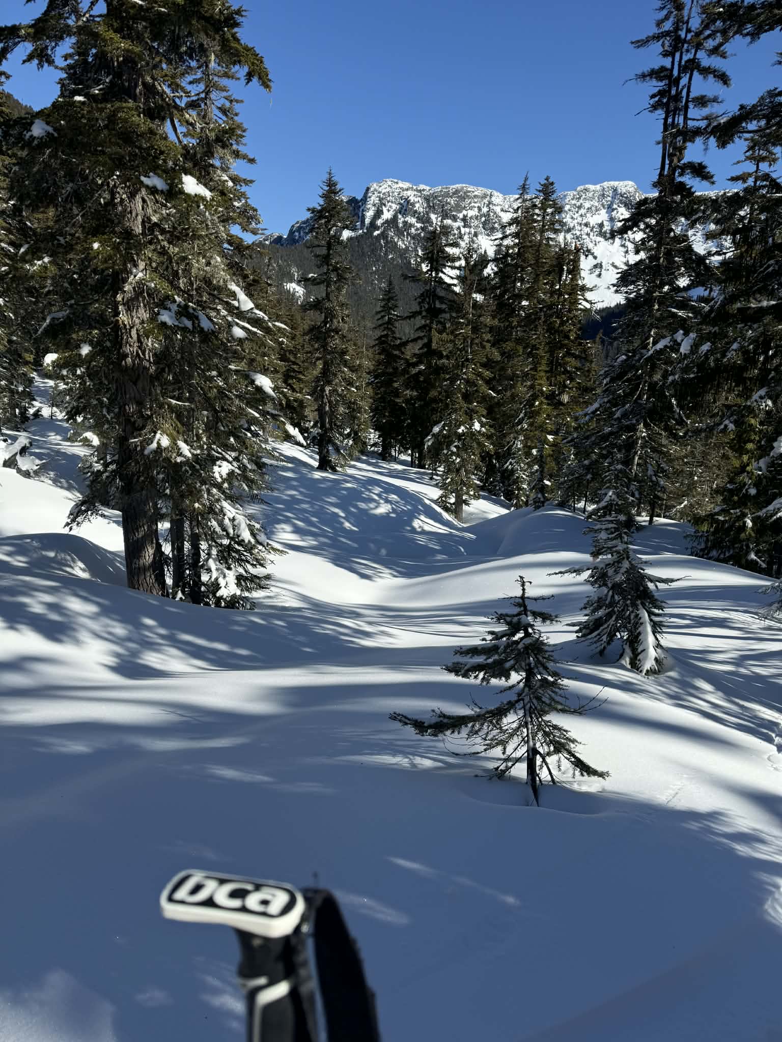 Observation photo