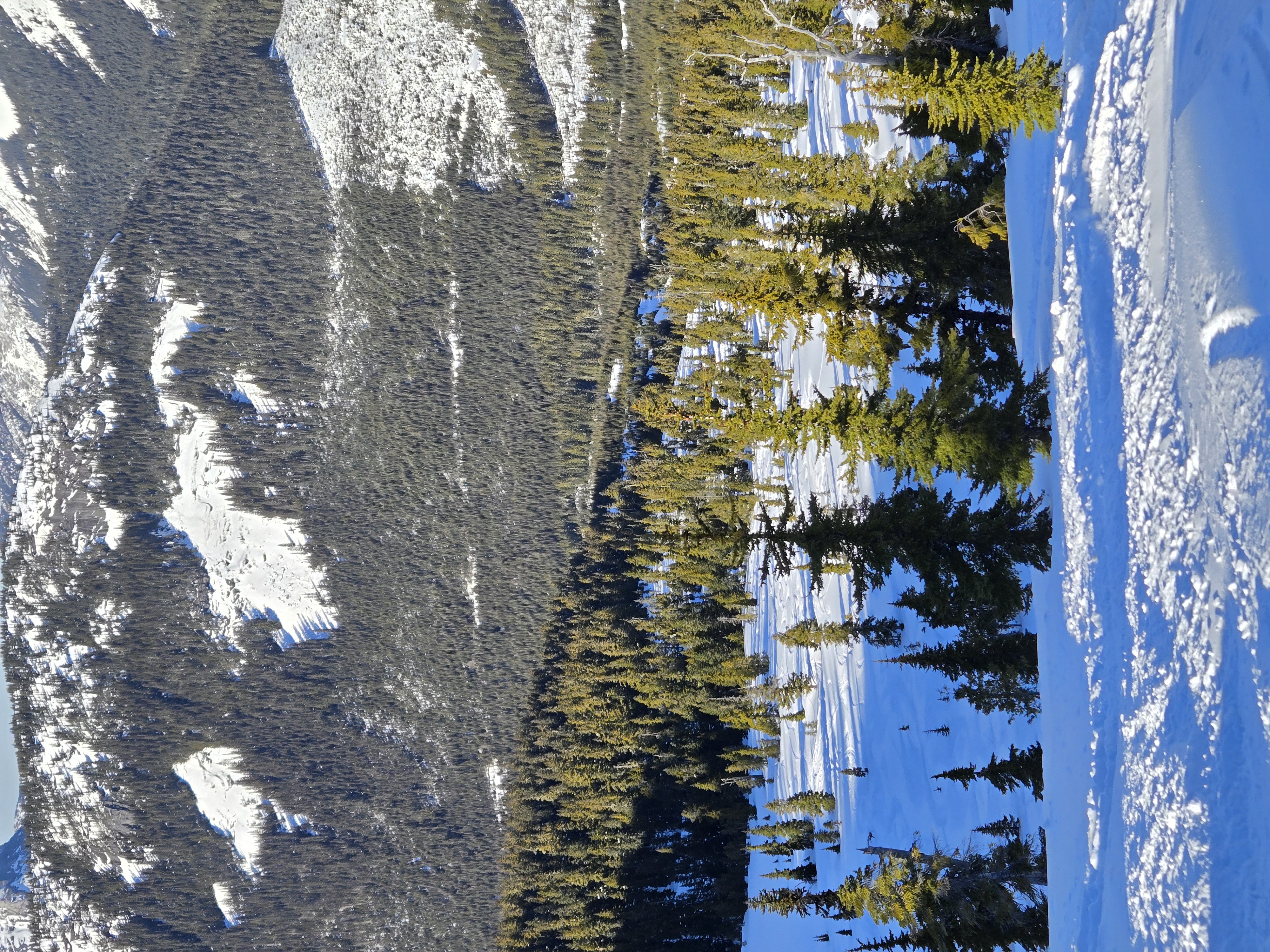 Observation photo