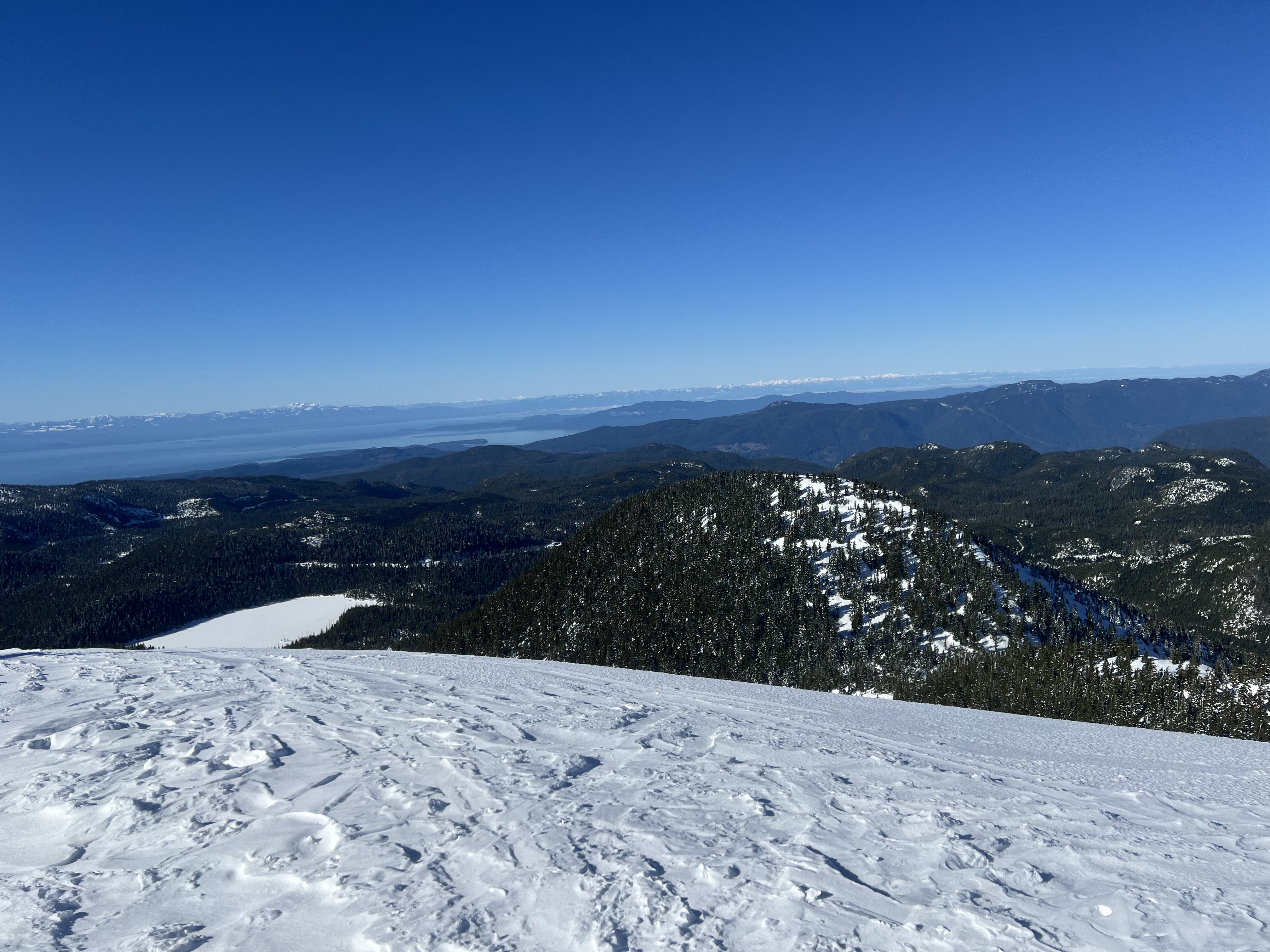 Observation photo