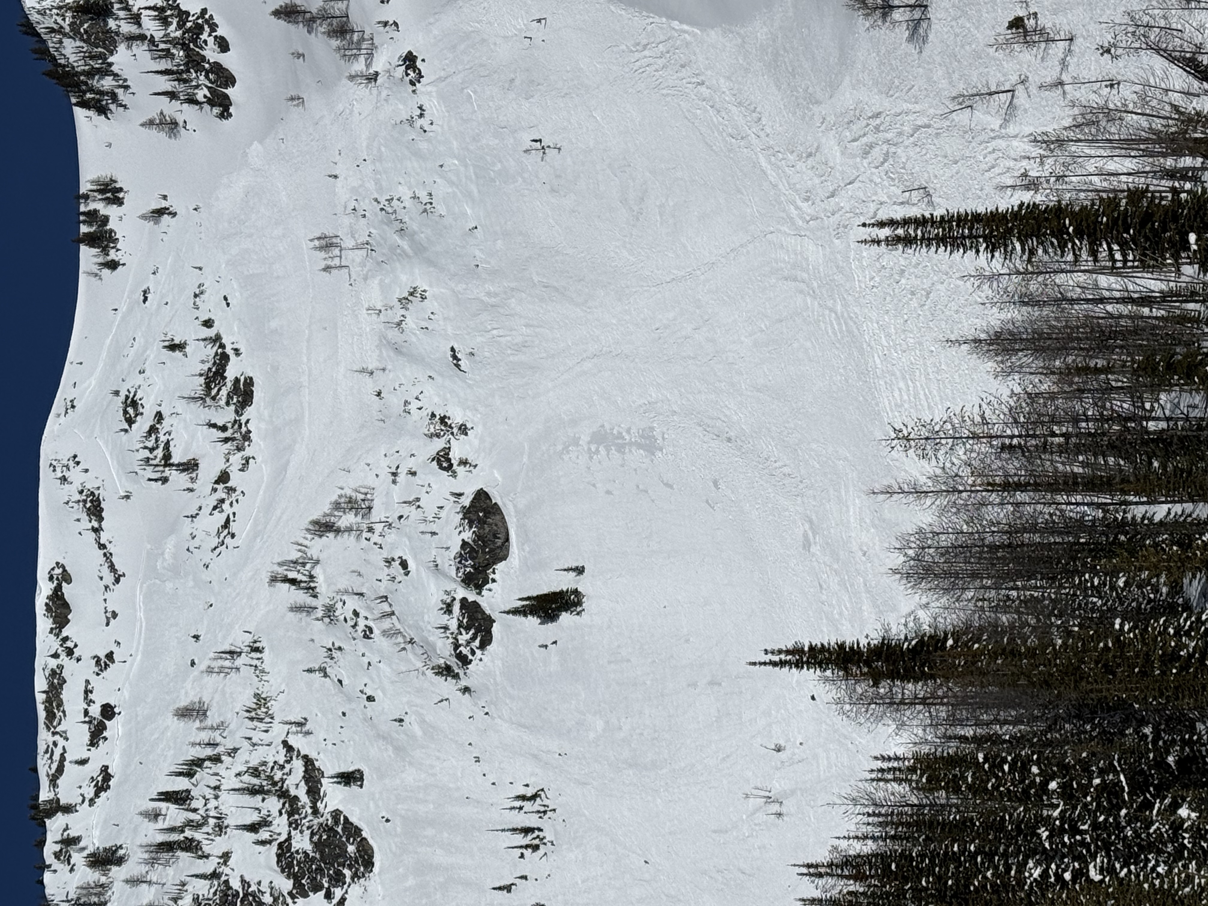 Observation photo