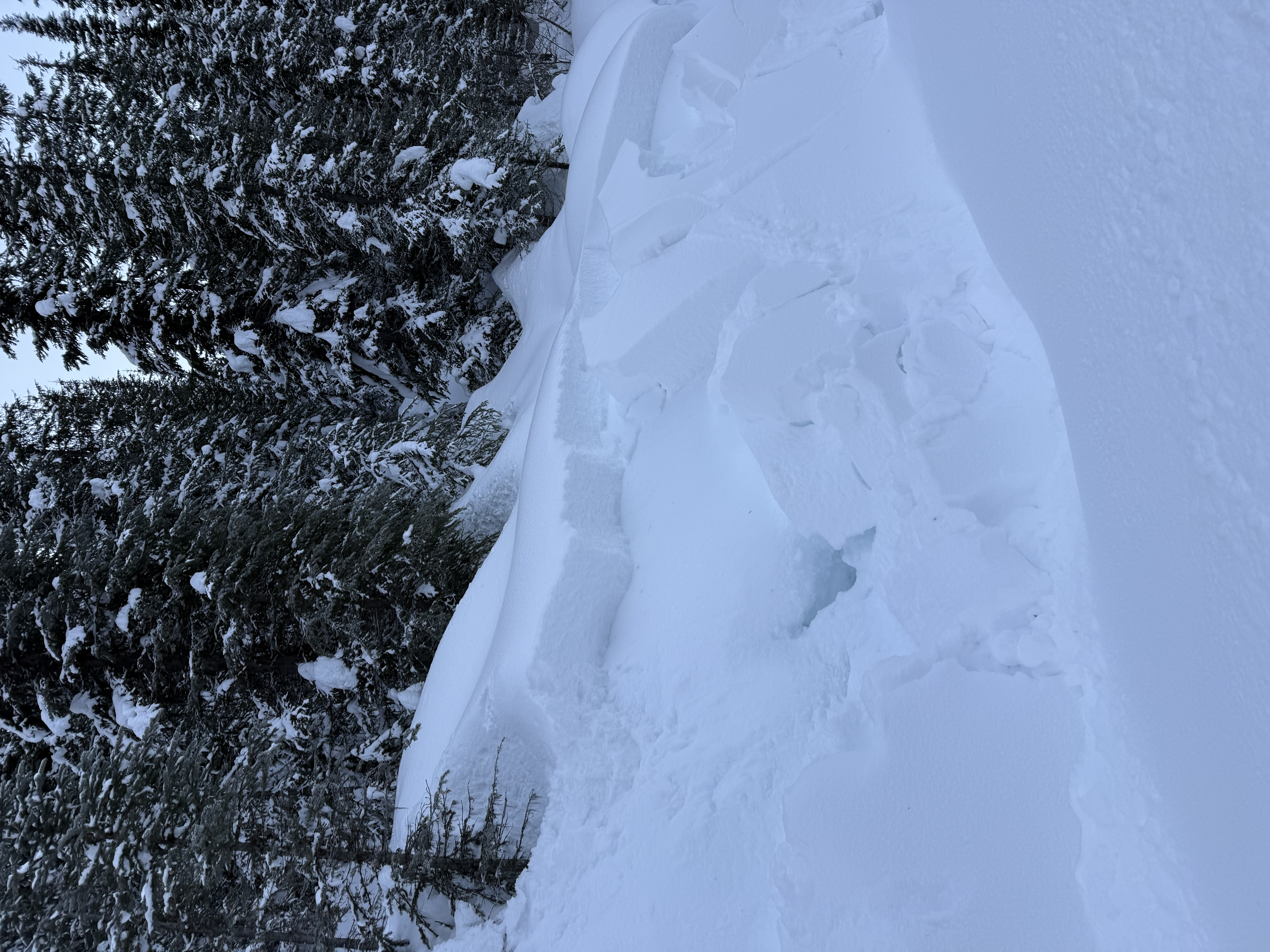 Observation photo