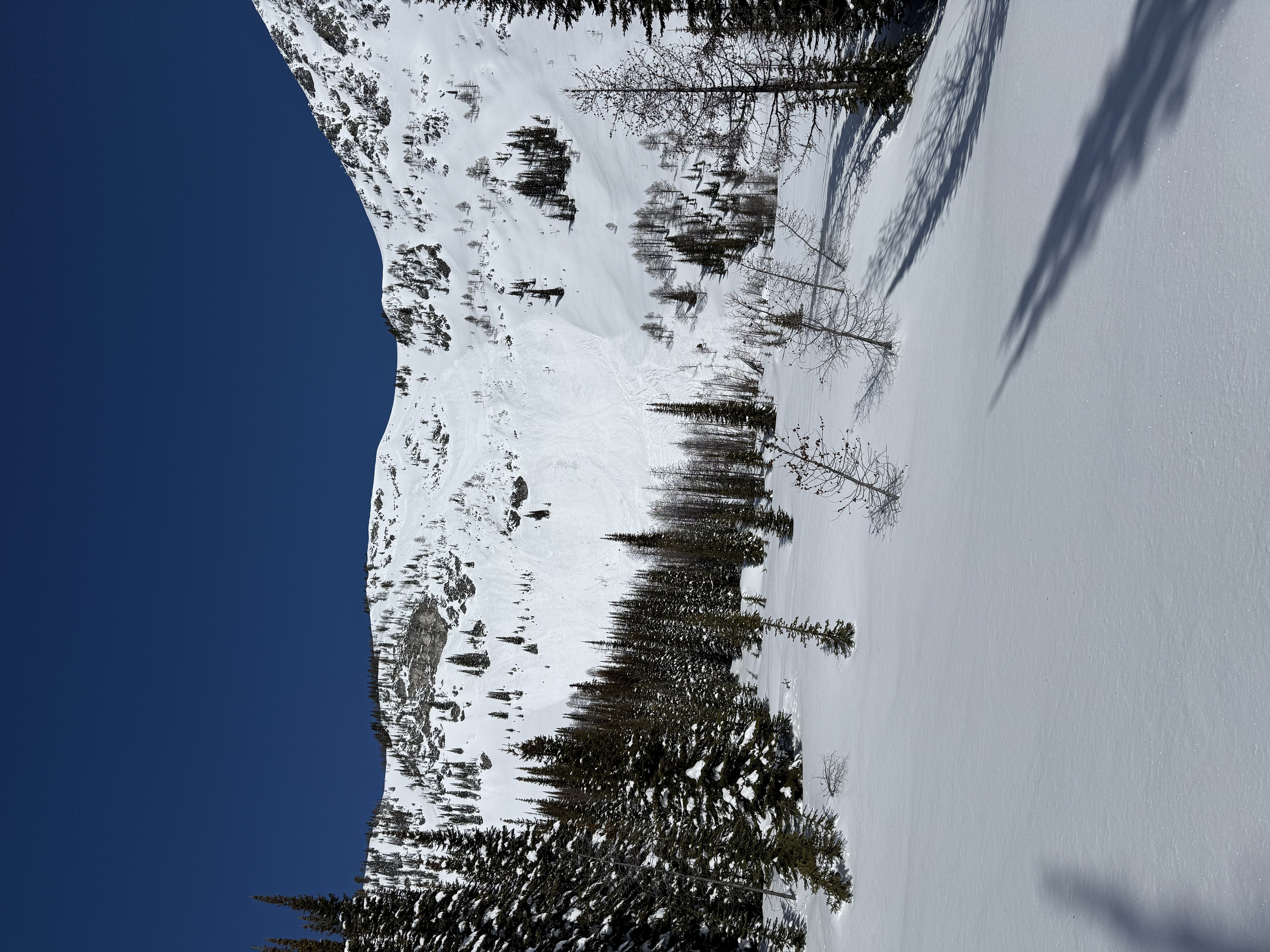 Observation photo