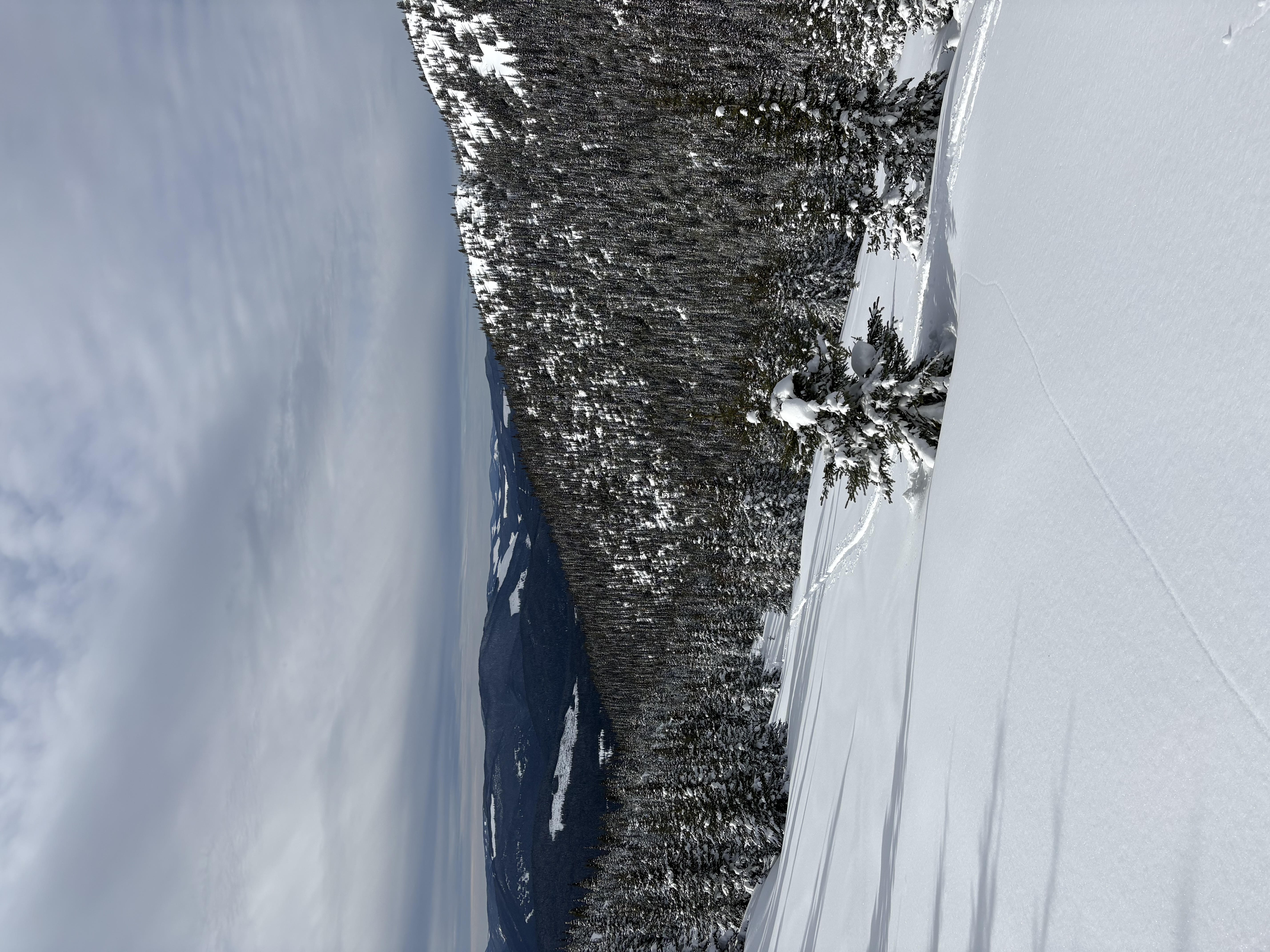 Observation photo