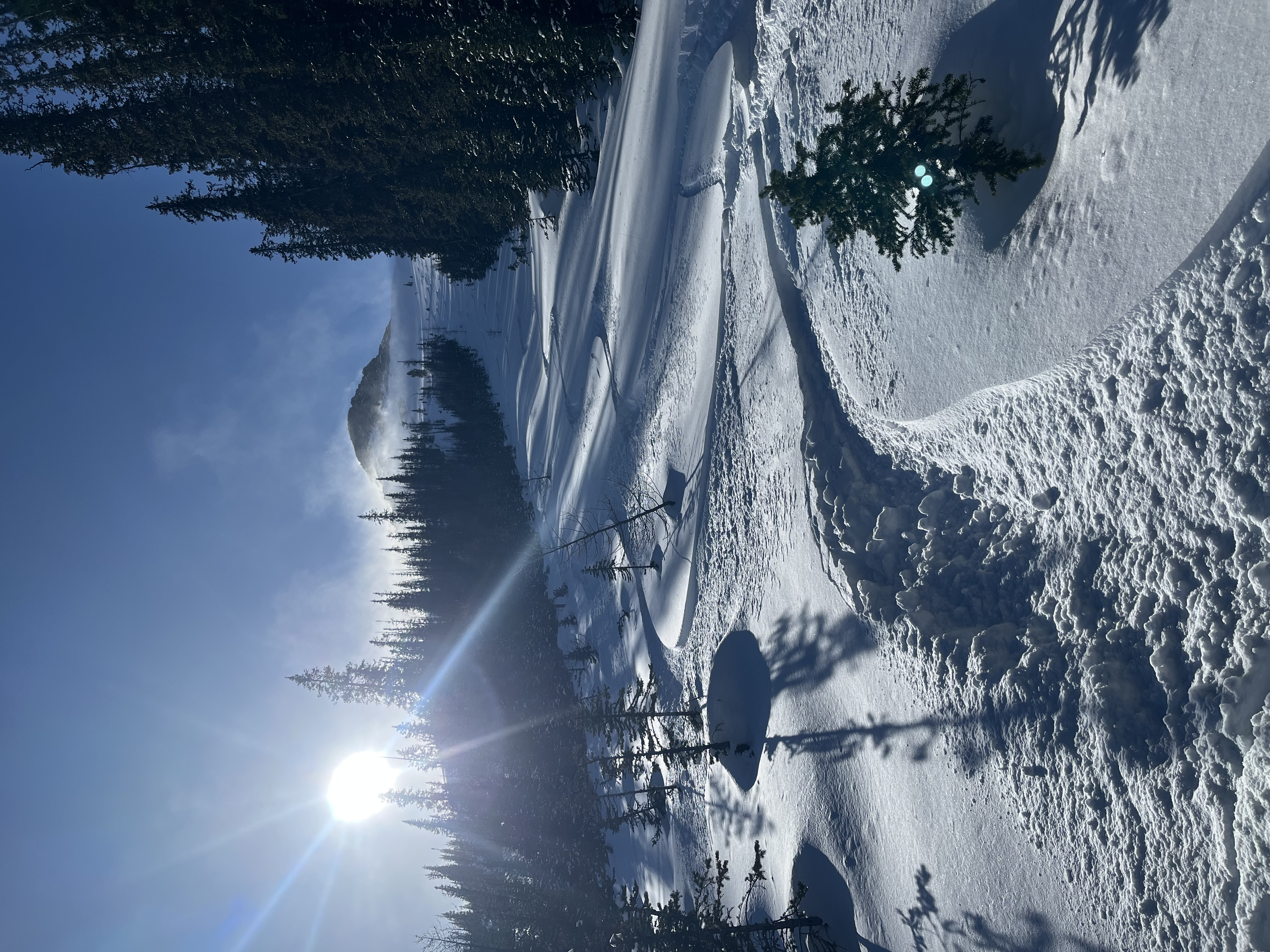 Observation photo