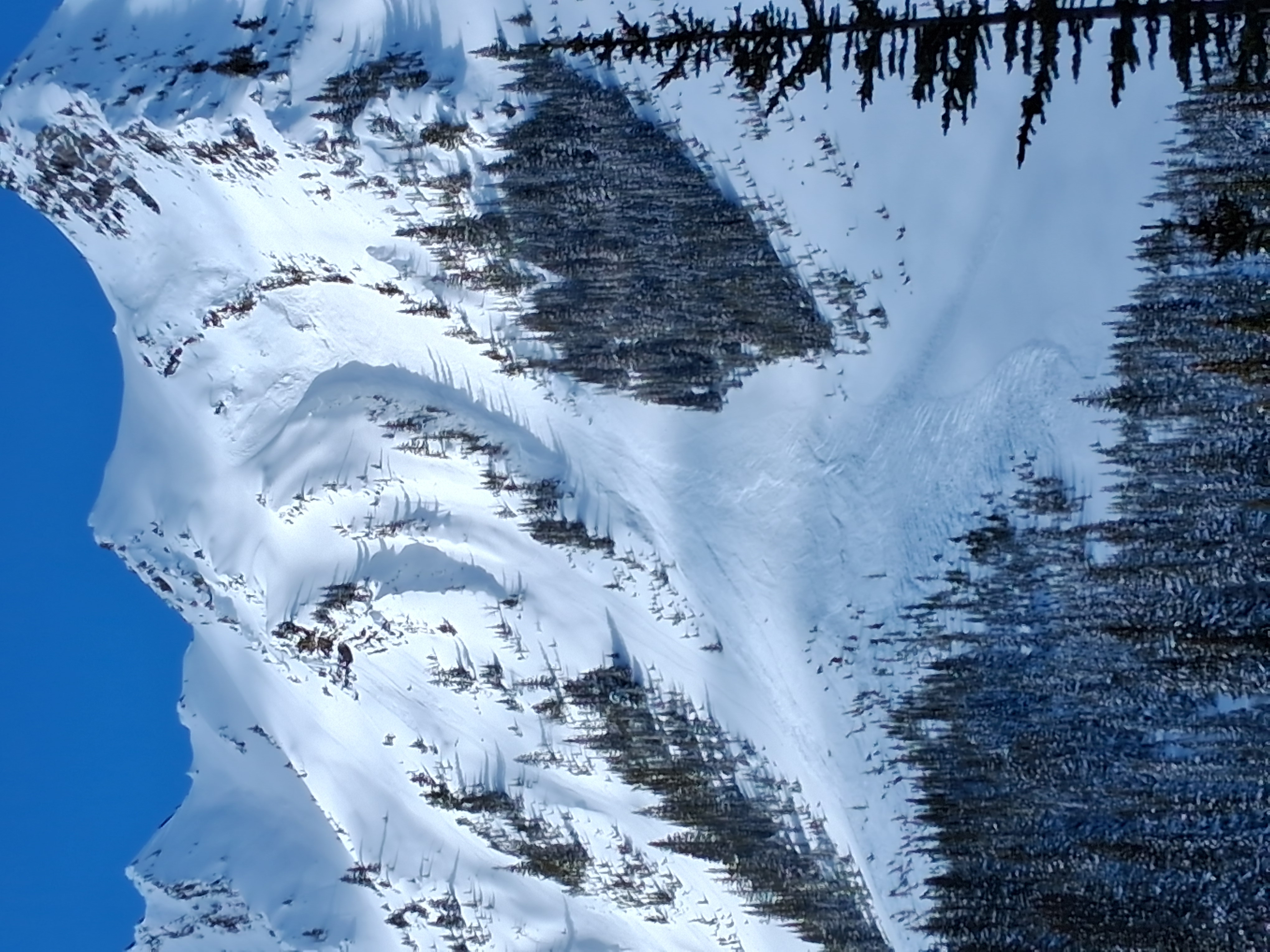 Observation photo
