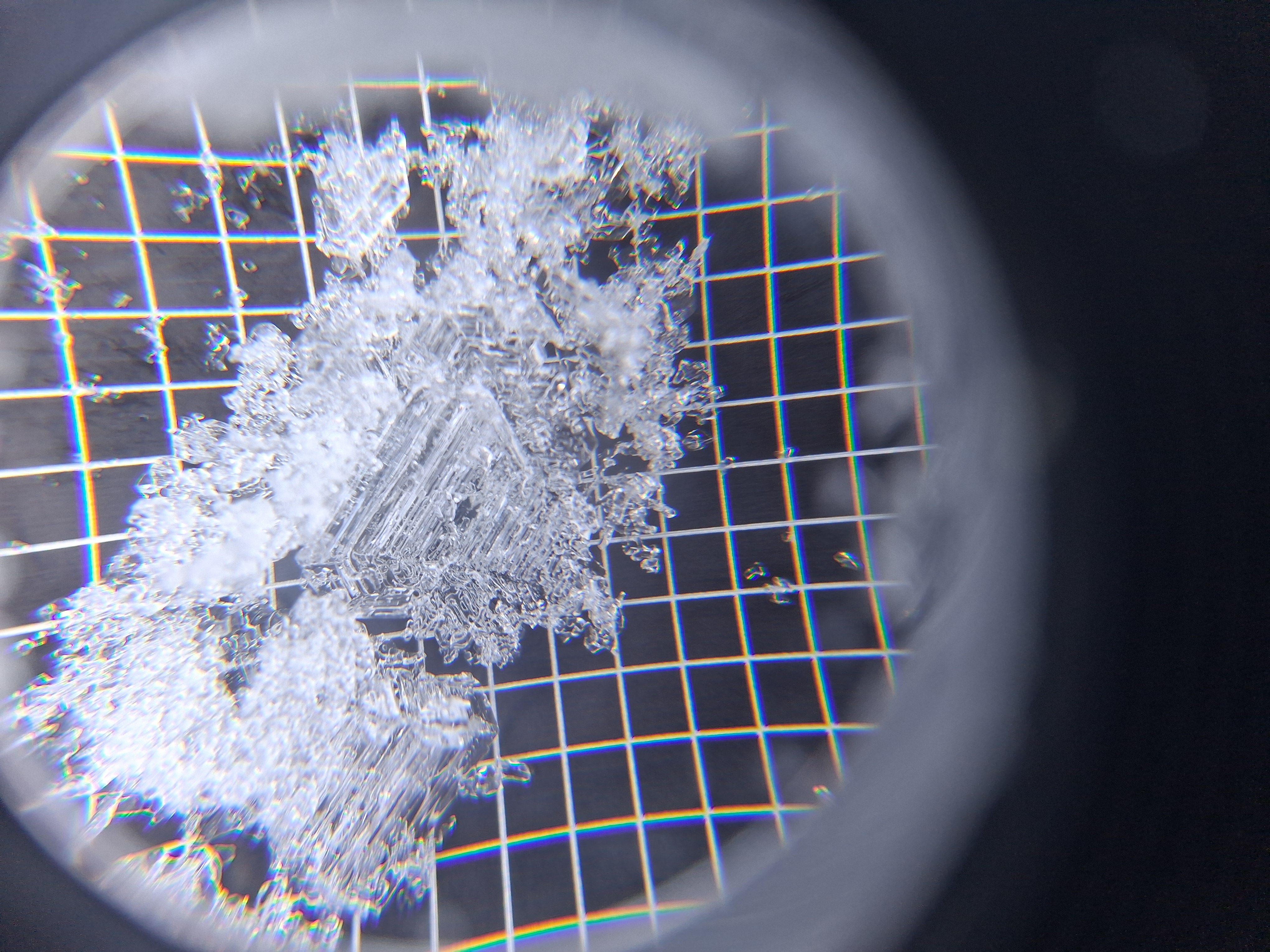 Observation photo