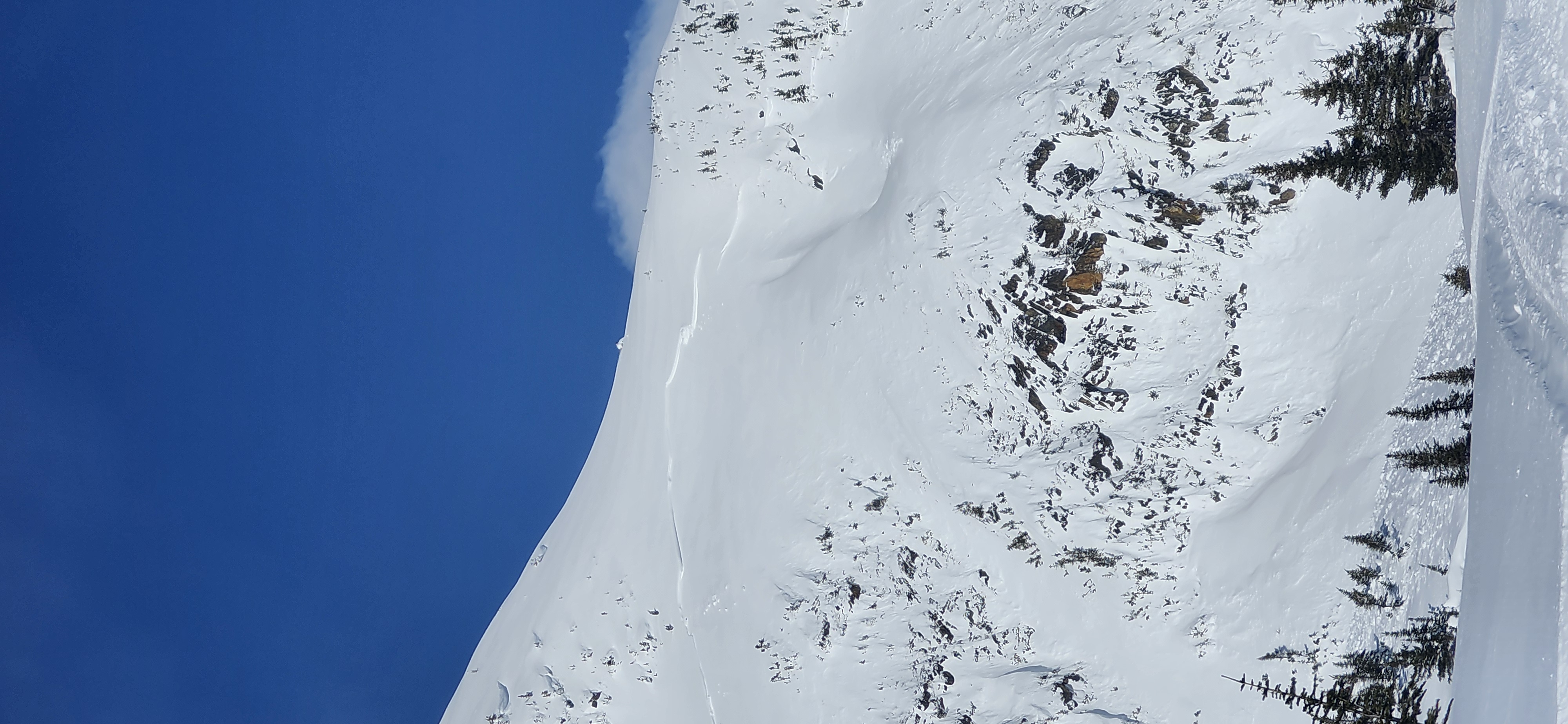 Observation photo